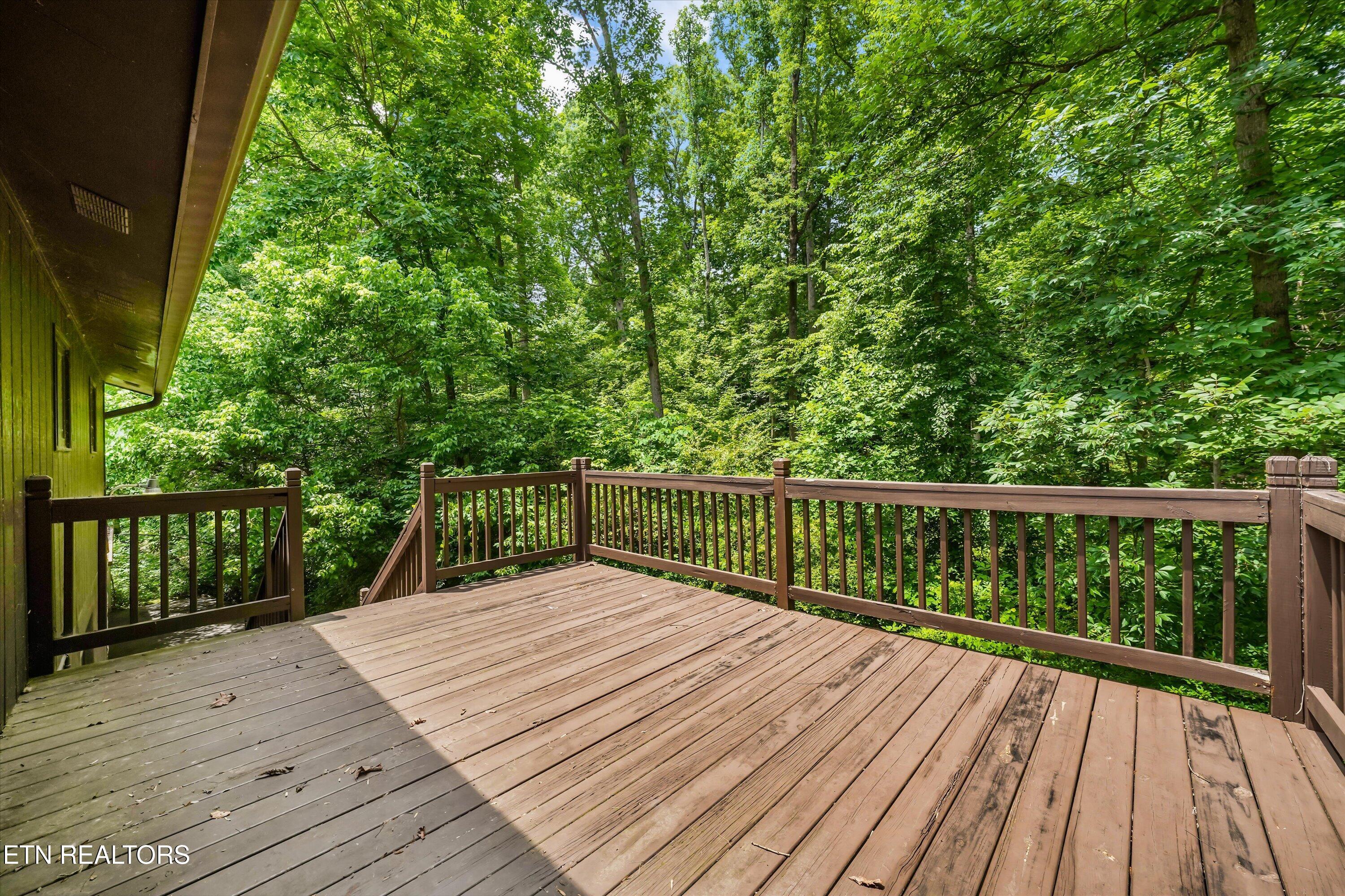 624 Starlite Lane Knoxville TN 37920