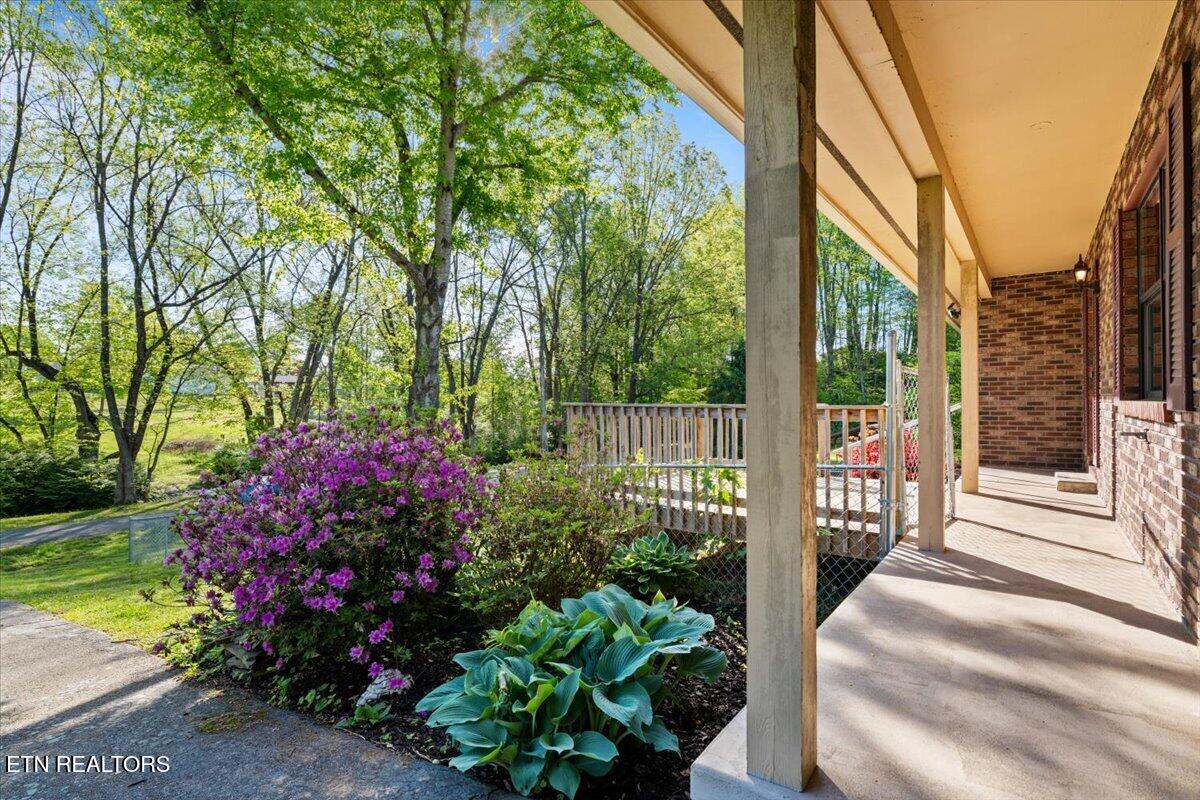 176 Michael Lane Jacksboro TN 37757