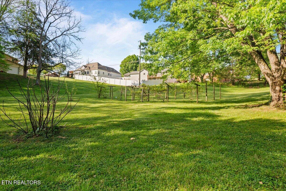 176 Michael Lane Jacksboro TN 37757