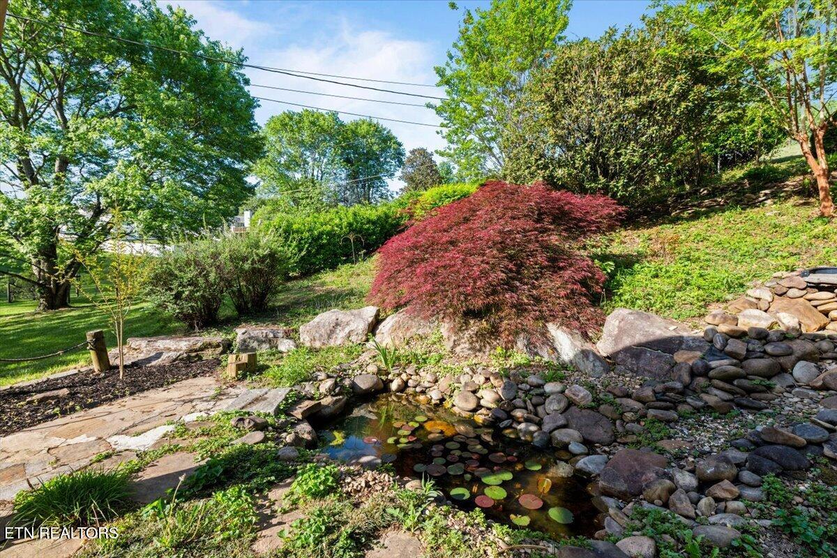 176 Michael Lane Jacksboro TN 37757