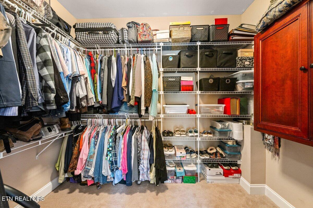 101 Chicory Drive Andersonville TN 37705