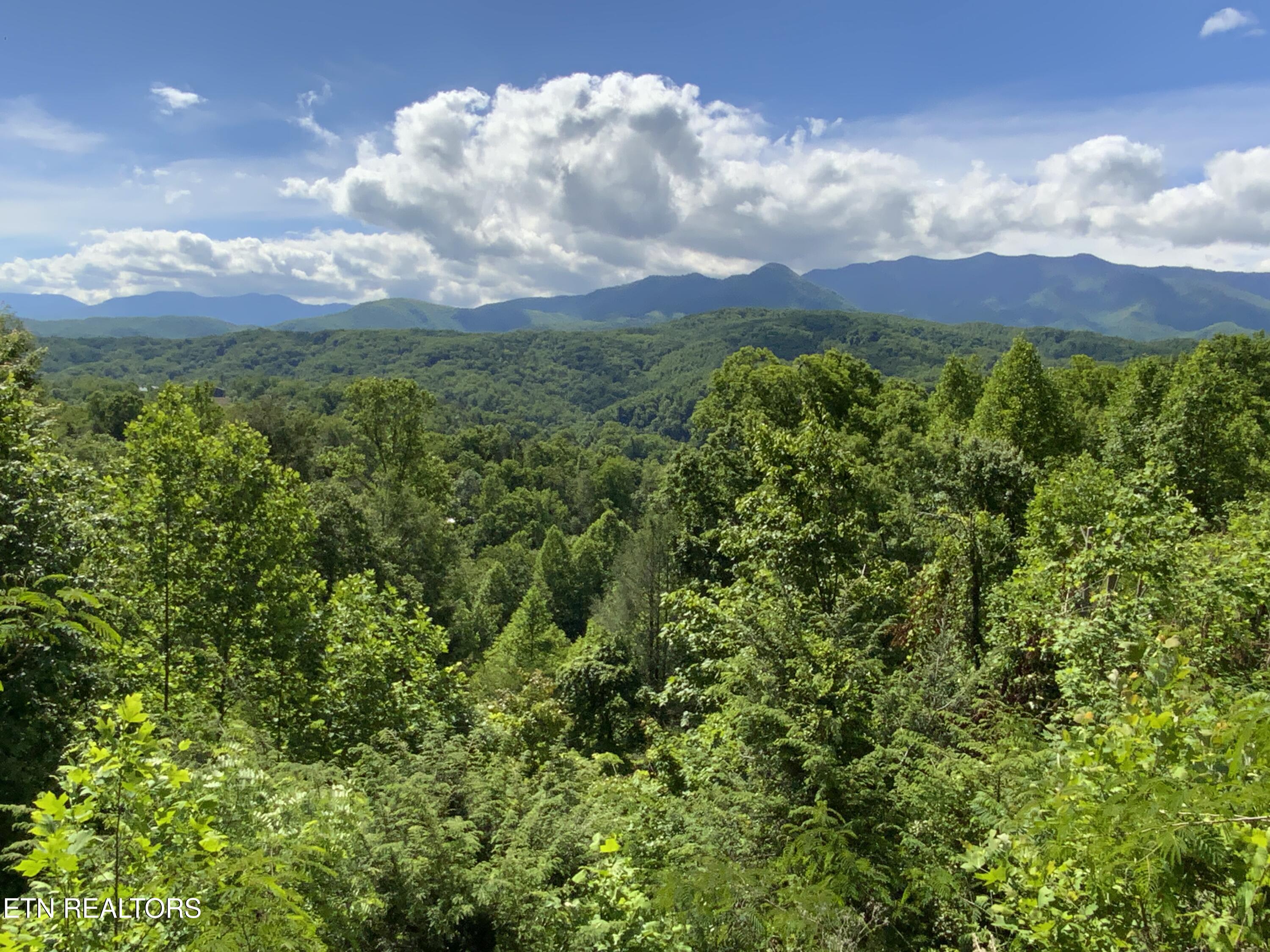 505 Crest Road Gatlinburg TN 37738