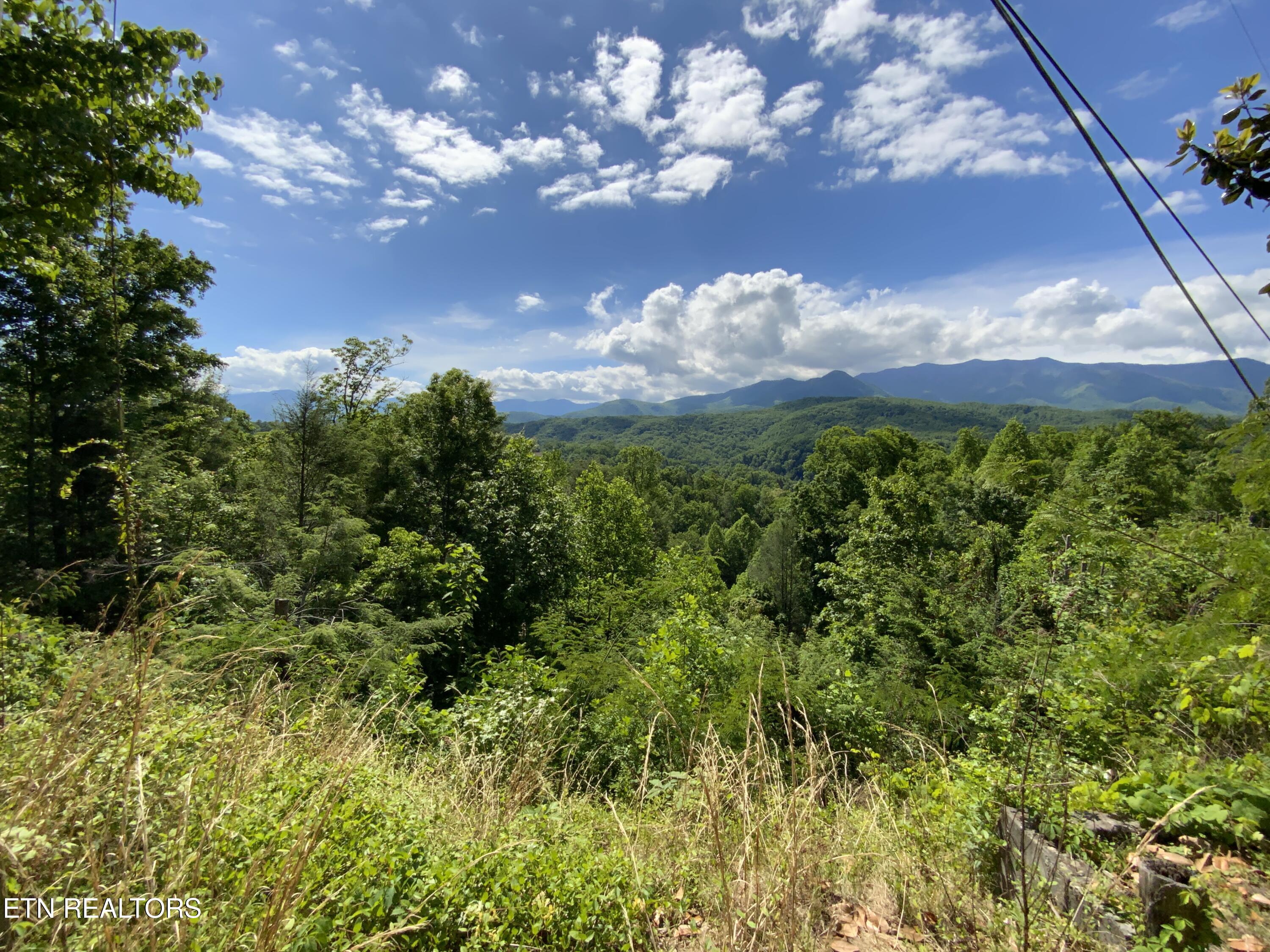 505 Crest Road Gatlinburg TN 37738