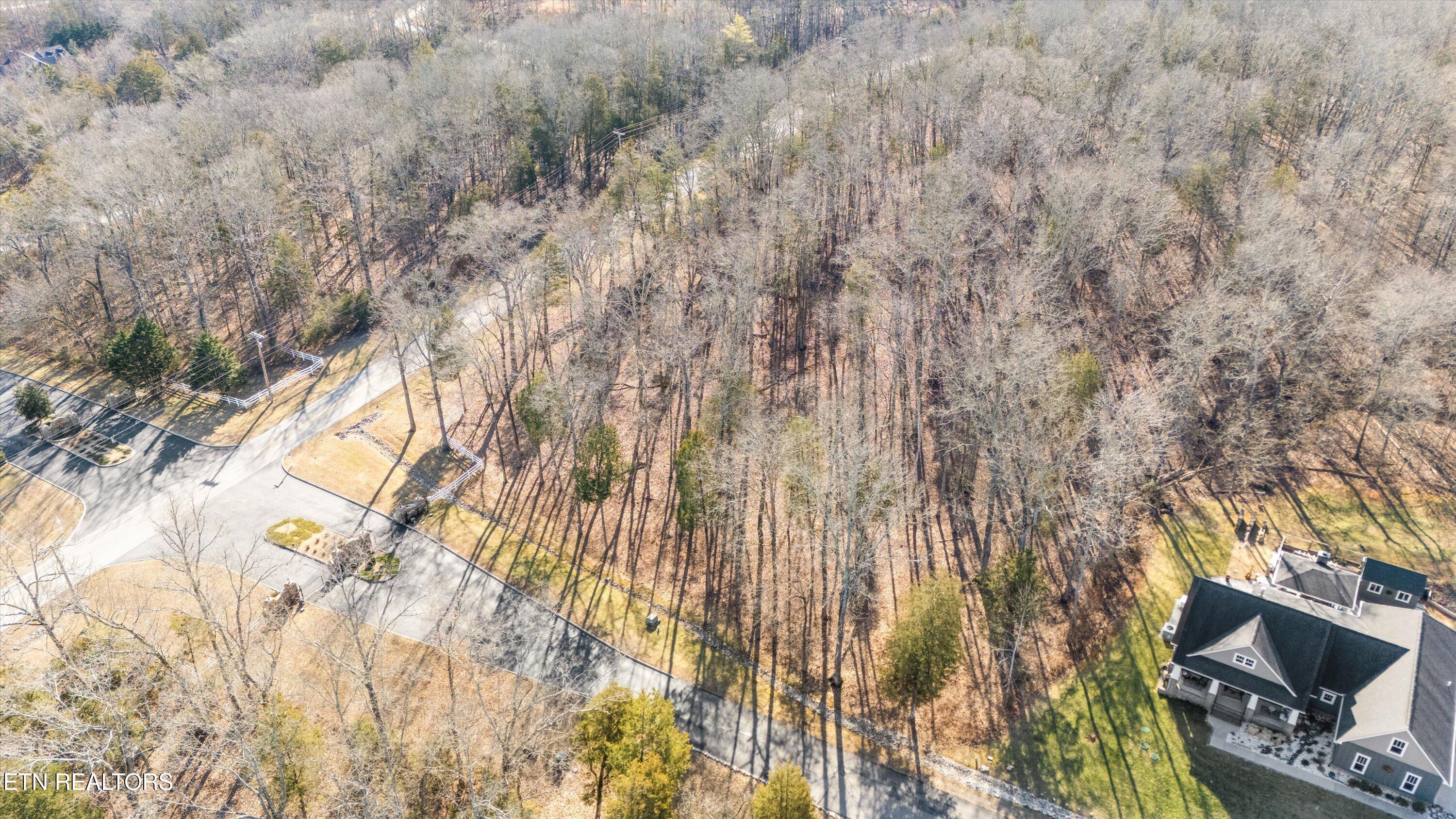 378 Walking Horse Trail Rockwood TN 37854