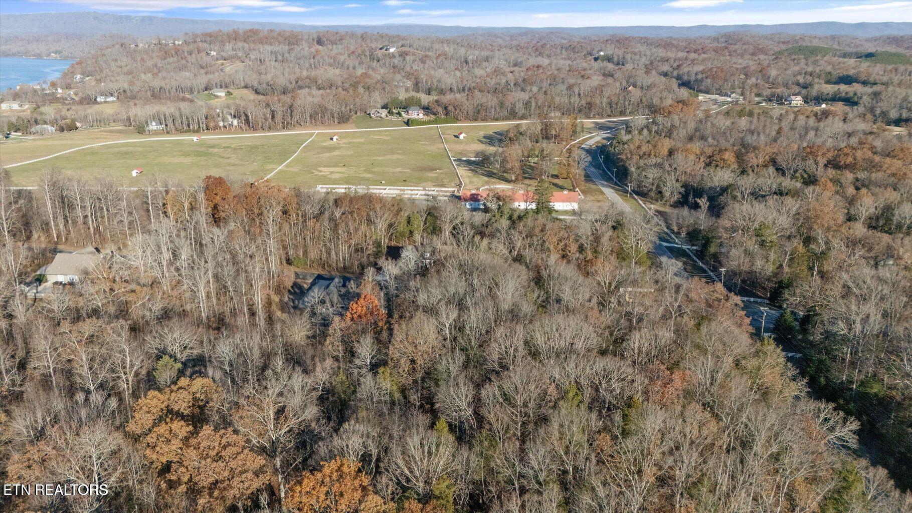 378 Walking Horse Trail Rockwood TN 37854