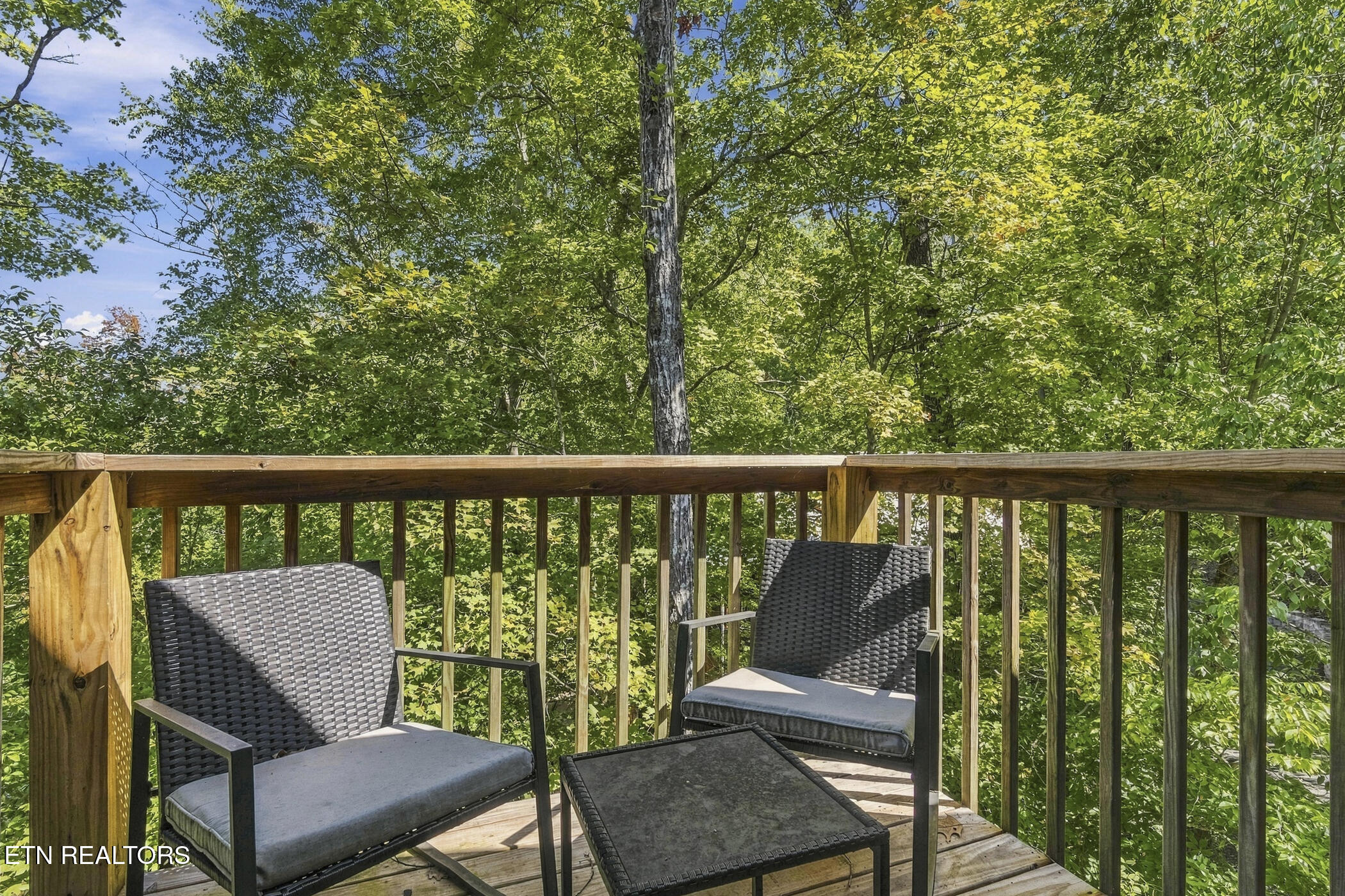 118 Daryl Way Sevierville TN 37876