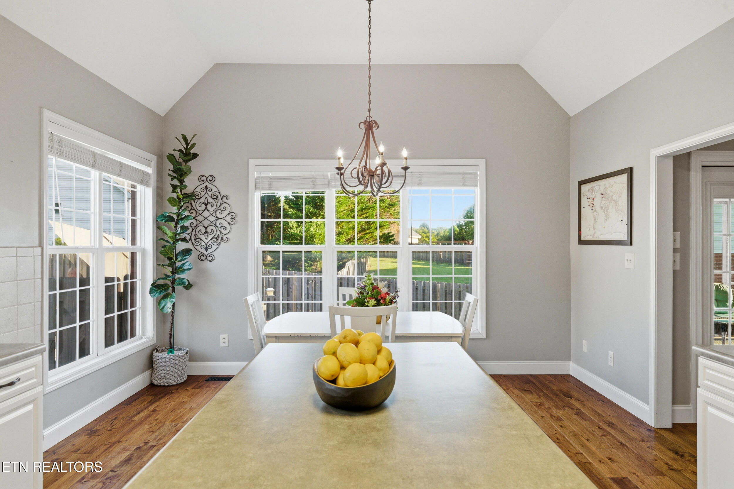 121 Ivy Mill Court Knoxville TN 37924