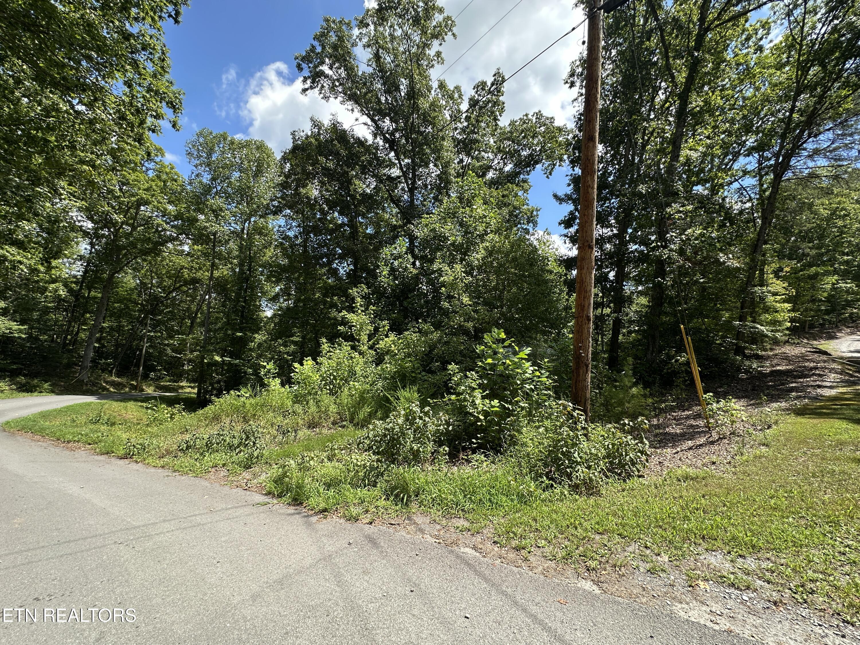 328 N Dark Hollow Road Andersonville TN 37705