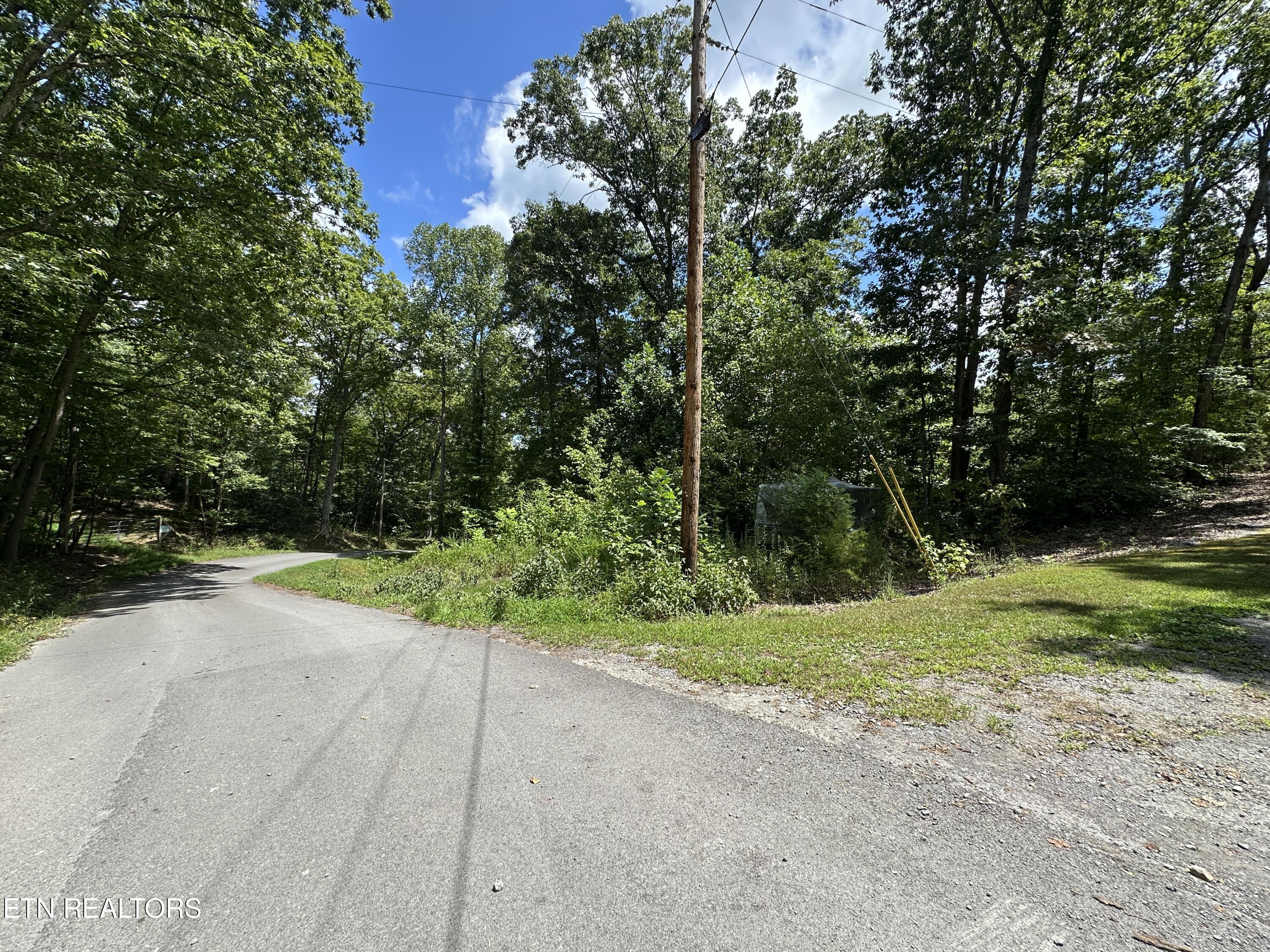 328 N Dark Hollow Road Andersonville TN 37705