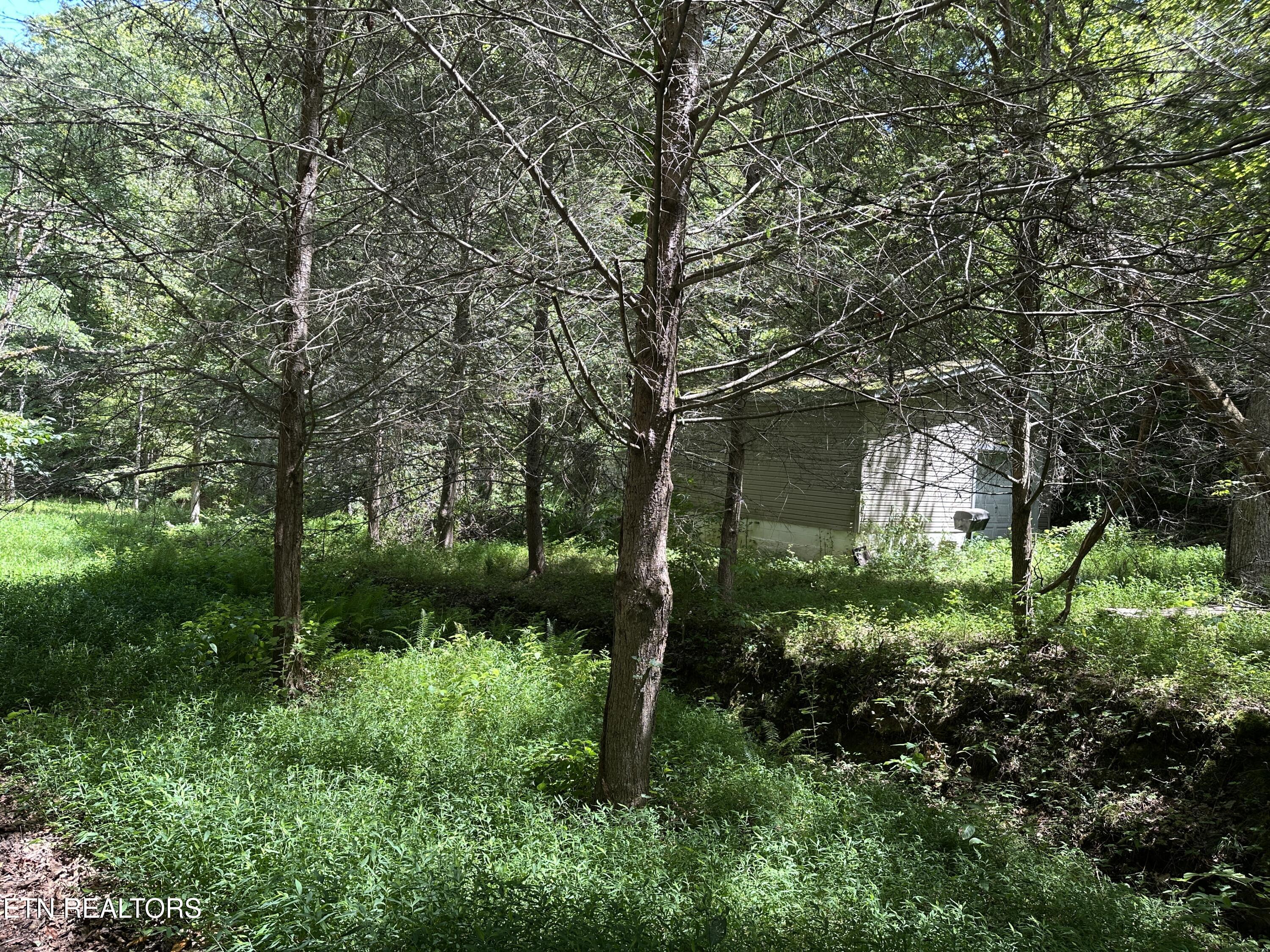 328 N Dark Hollow Road Andersonville TN 37705