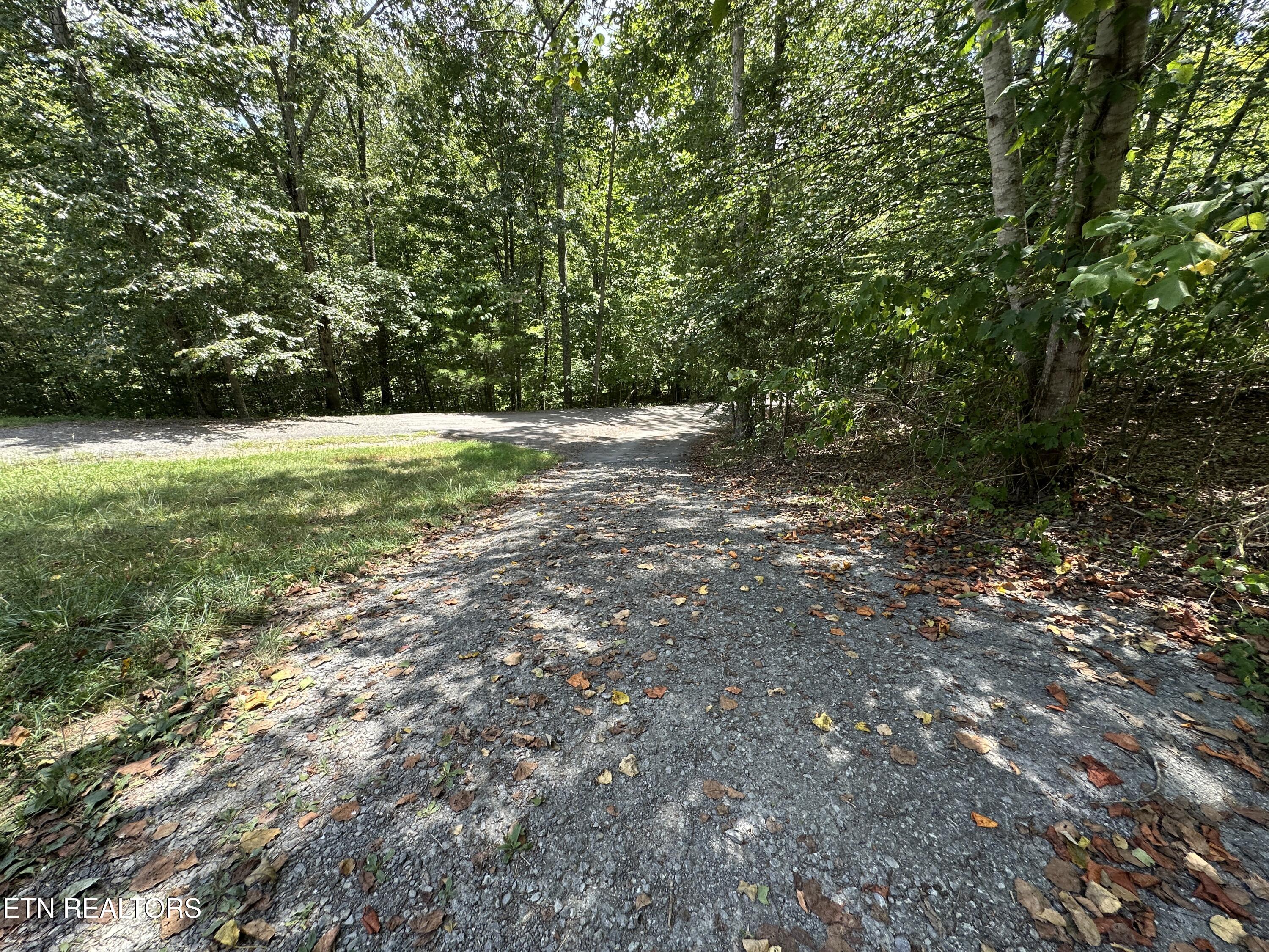 328 N Dark Hollow Road Andersonville TN 37705