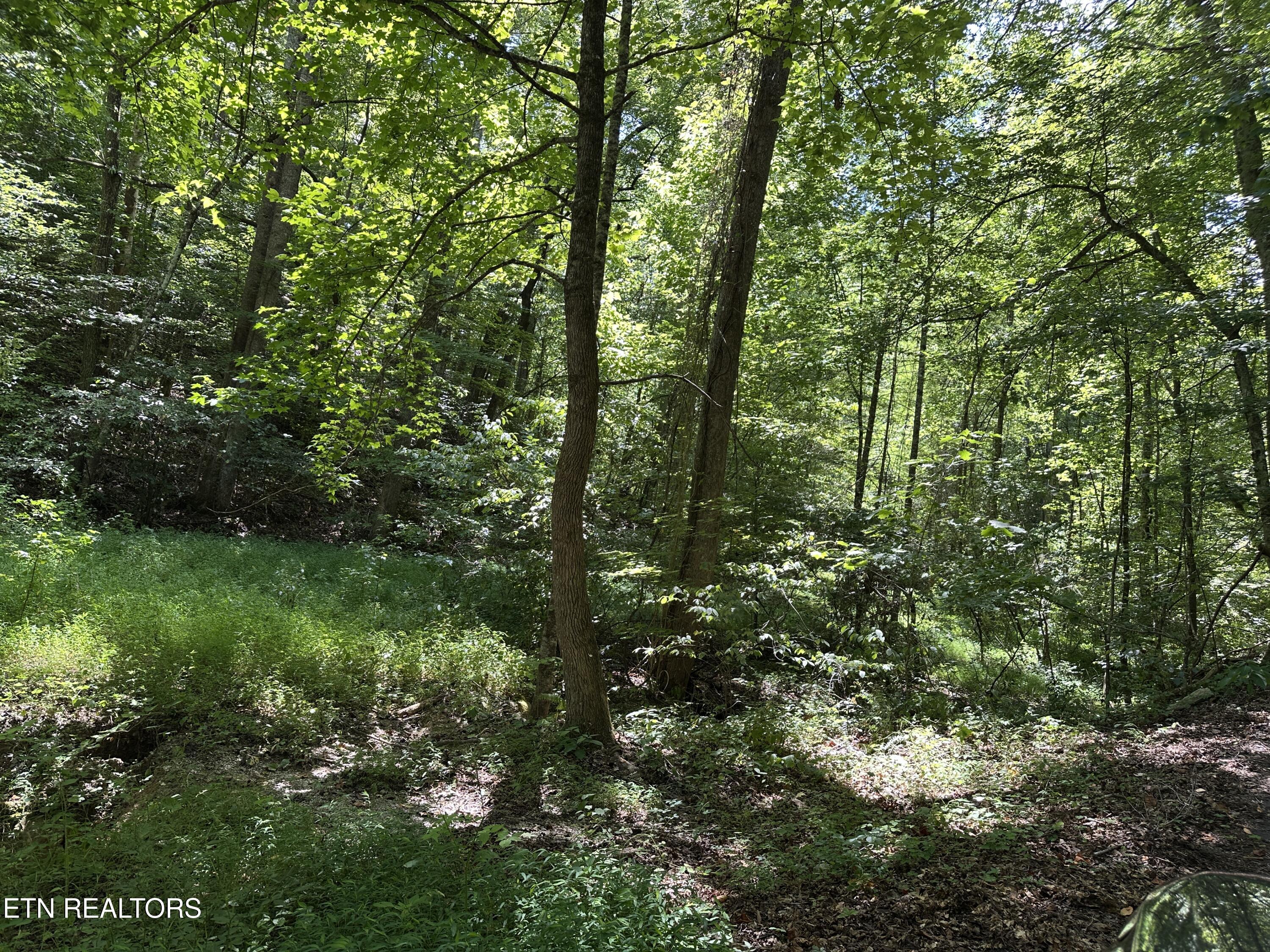 328 N Dark Hollow Road Andersonville TN 37705