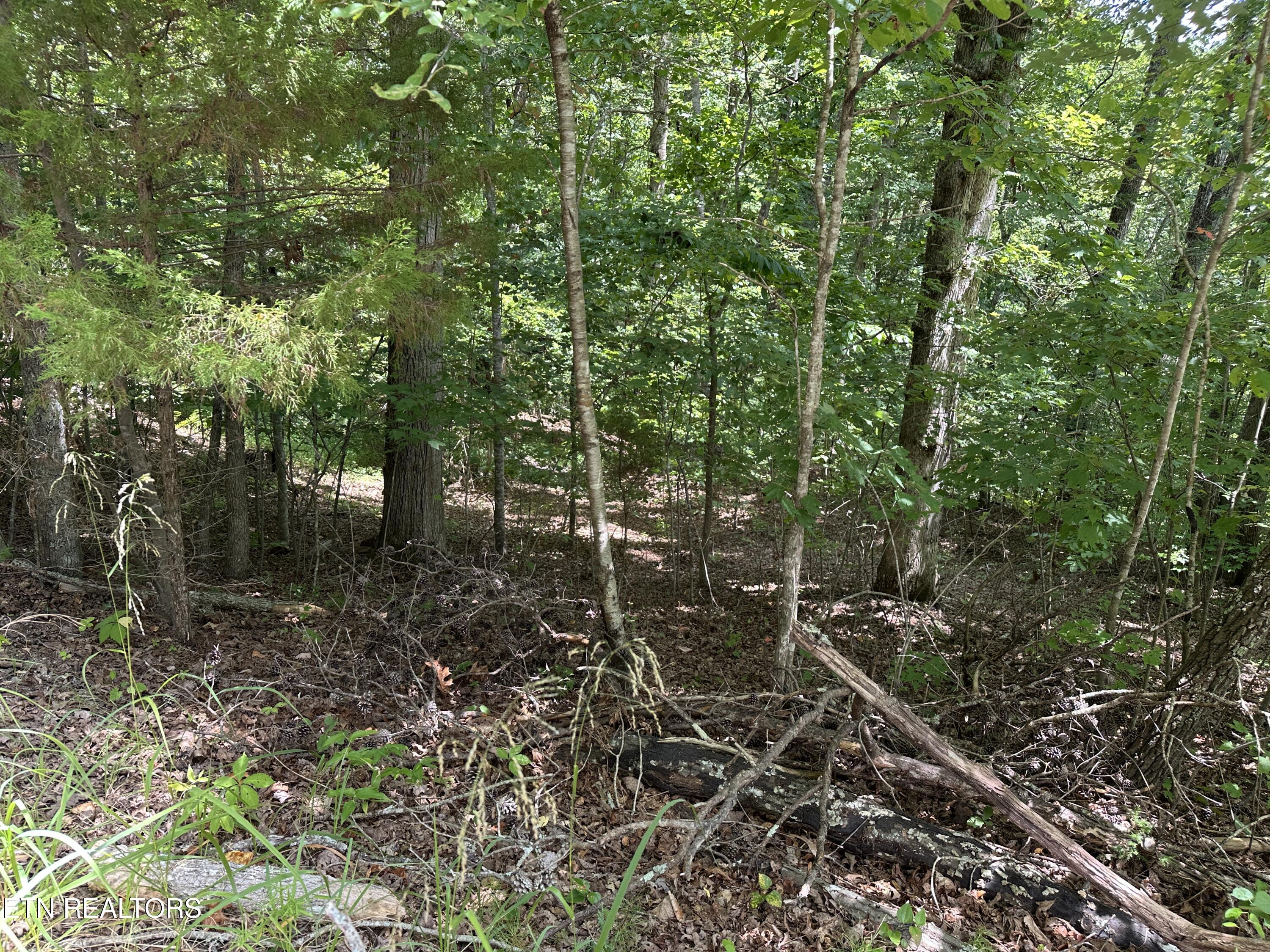 328 N Dark Hollow Road Andersonville TN 37705