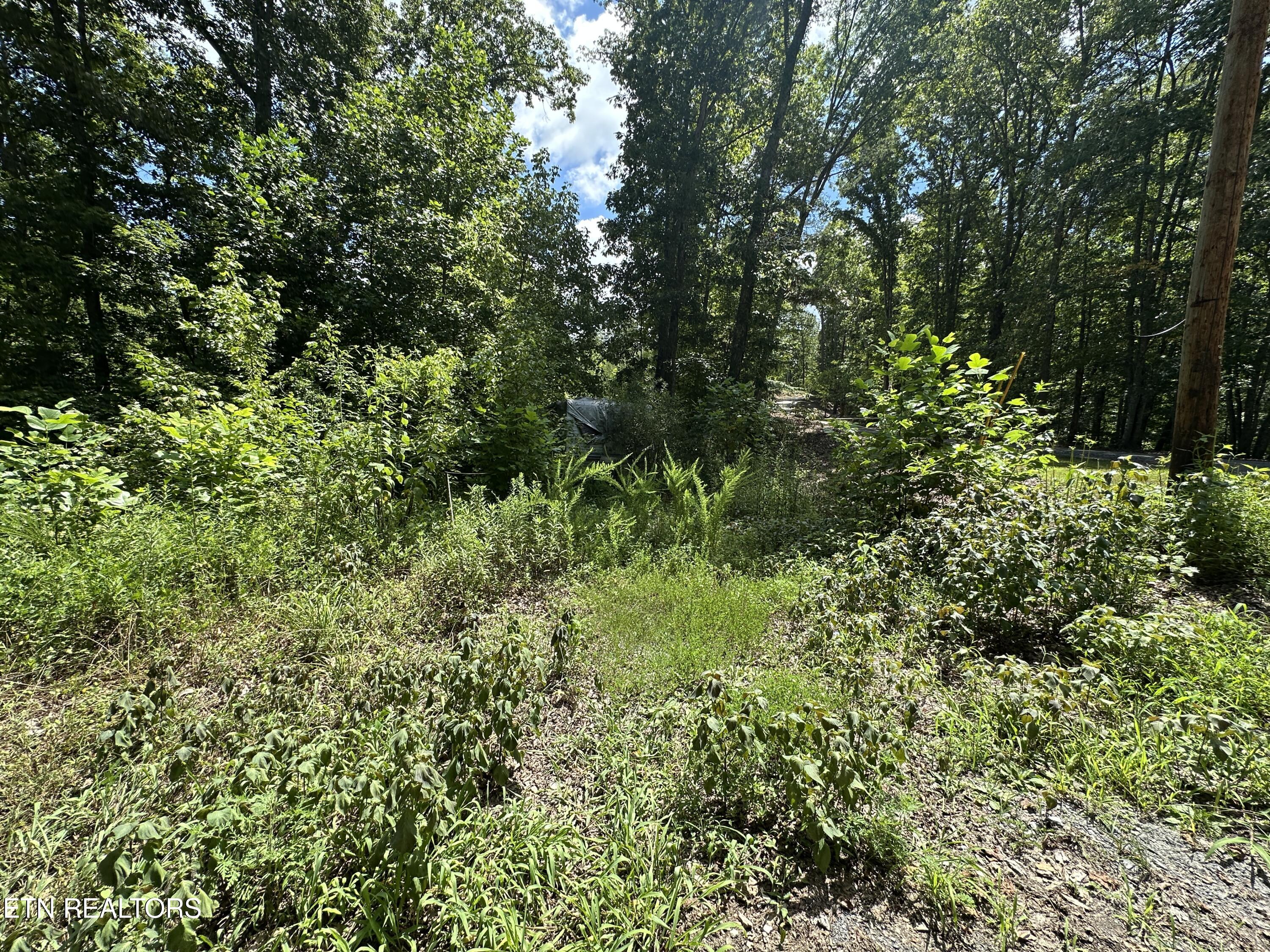 328 N Dark Hollow Road Andersonville TN 37705