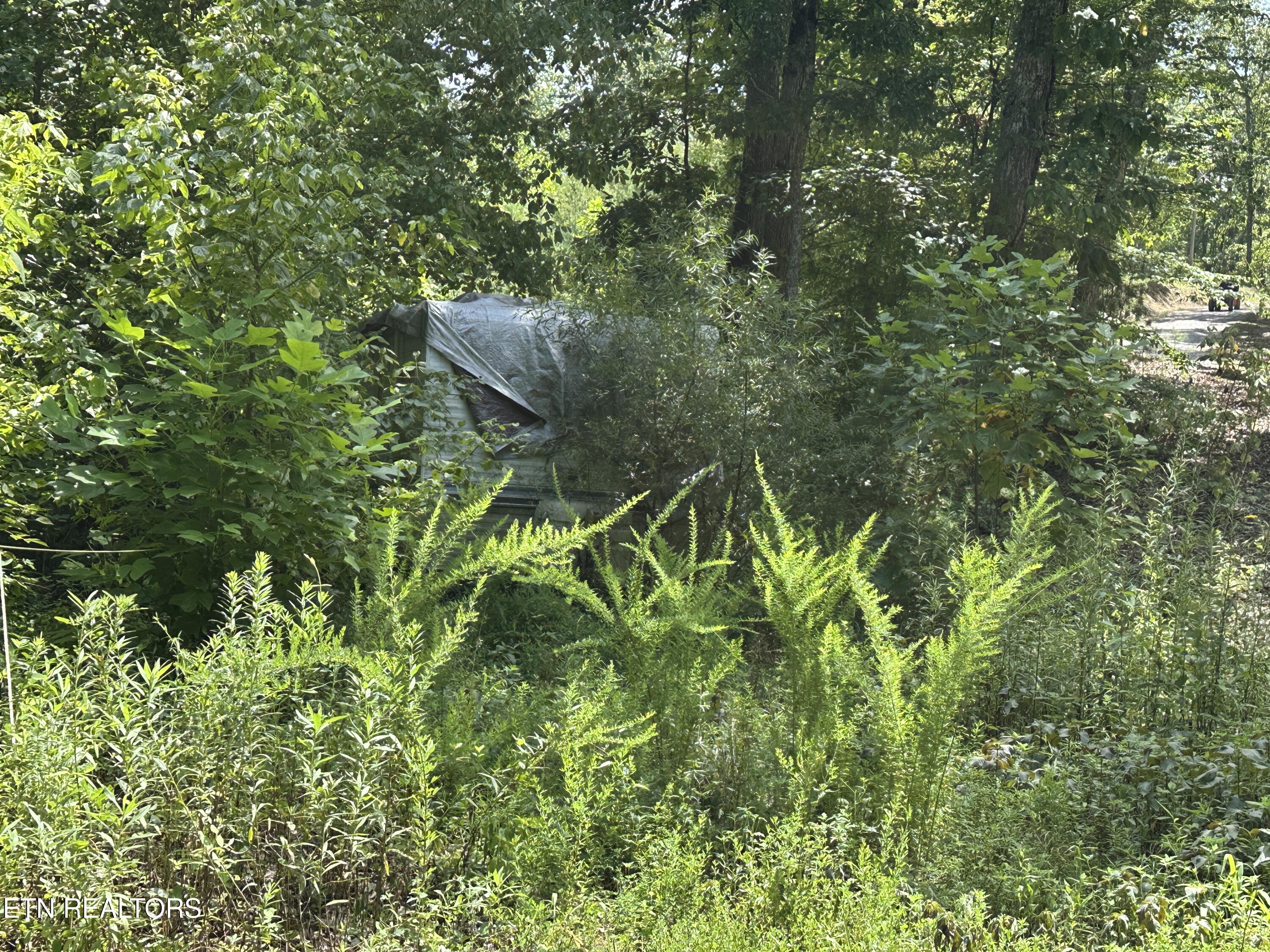 328 N Dark Hollow Road Andersonville TN 37705