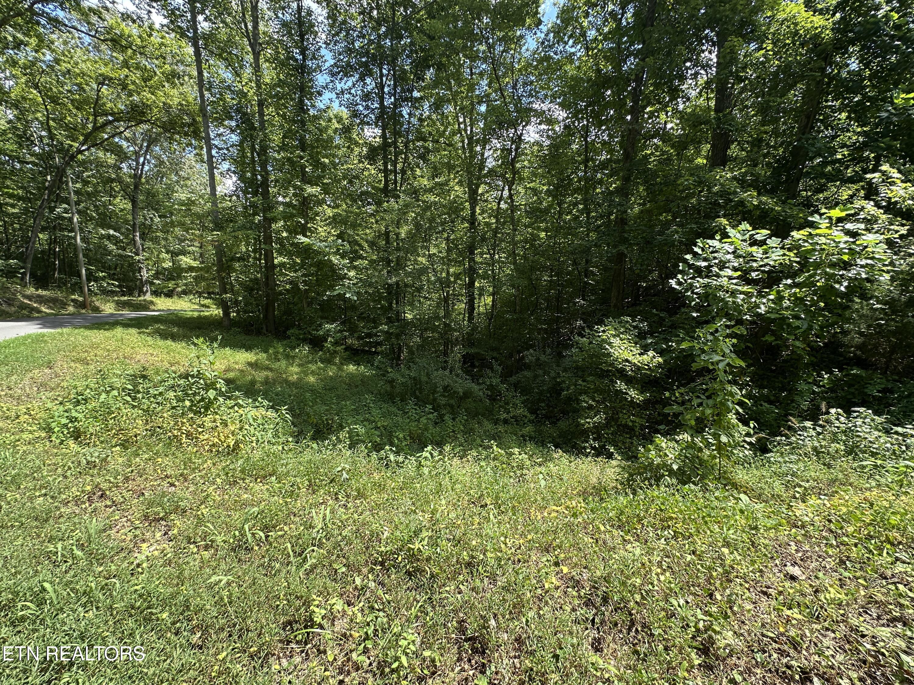 328 N Dark Hollow Road Andersonville TN 37705