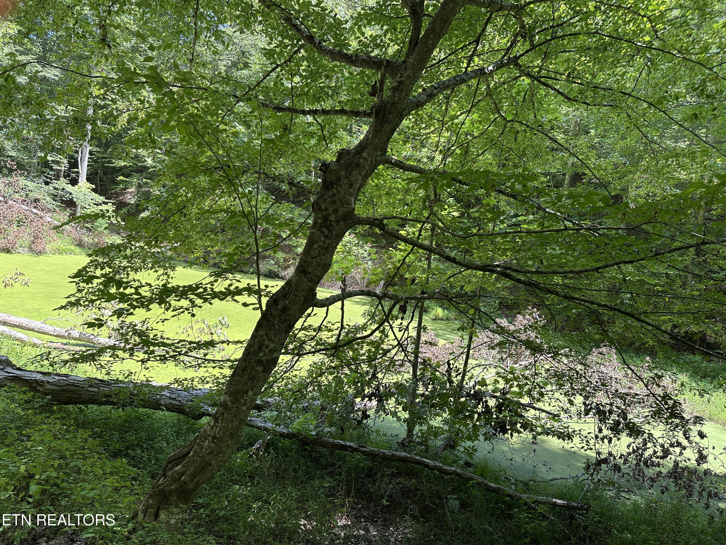 328 N Dark Hollow Road Andersonville TN 37705