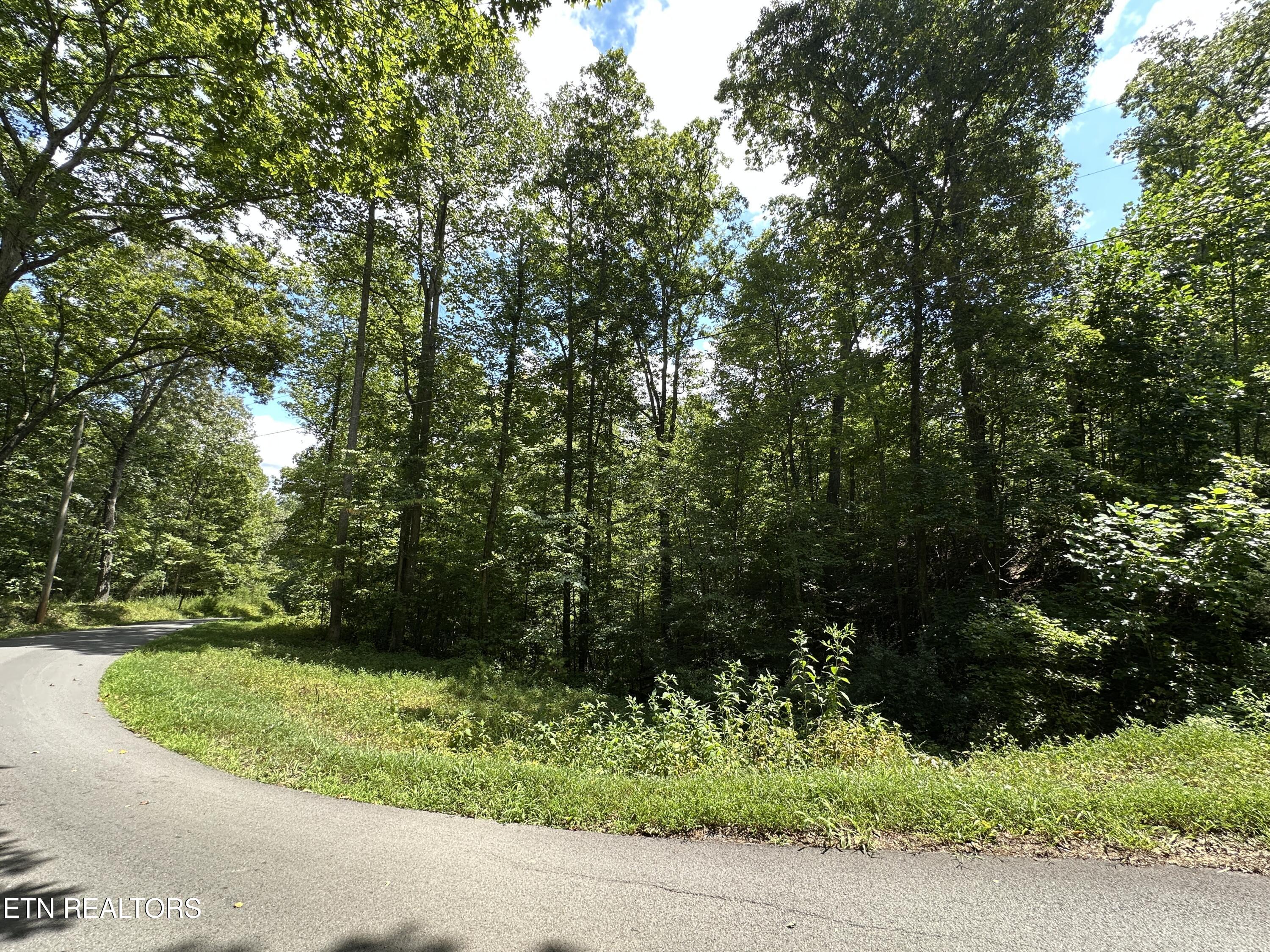 328 N Dark Hollow Road Andersonville TN 37705