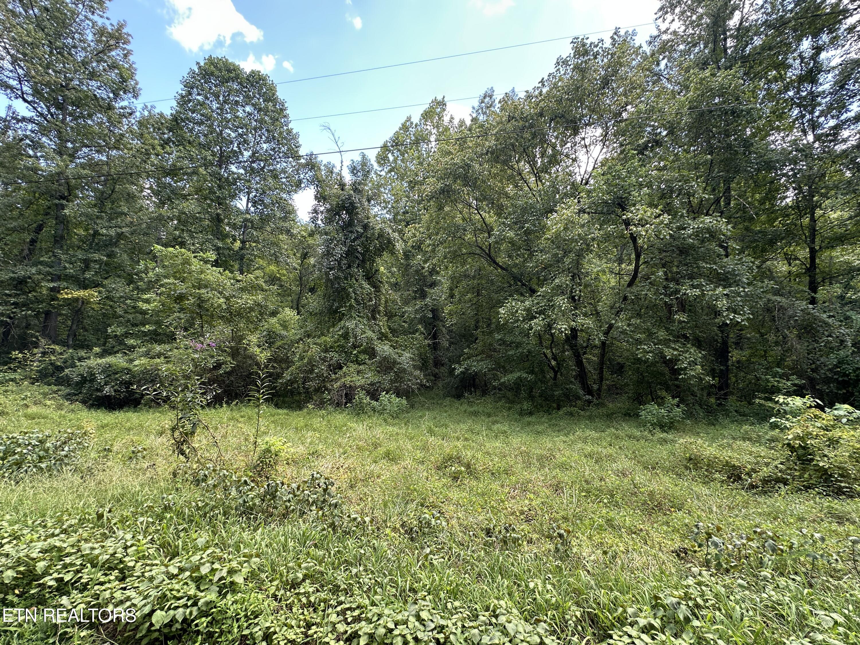 328 N Dark Hollow Road Andersonville TN 37705