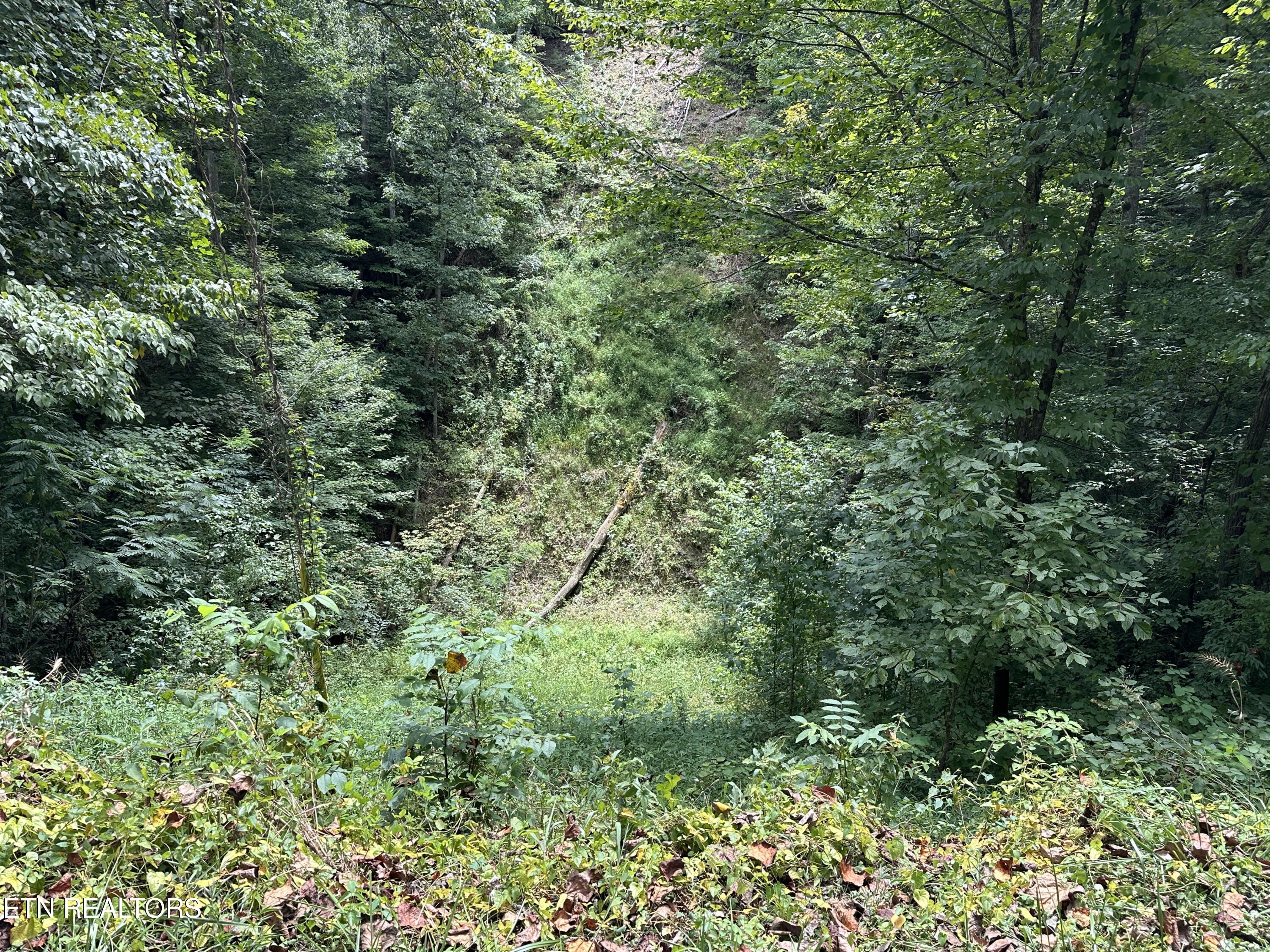 328 N Dark Hollow Road Andersonville TN 37705