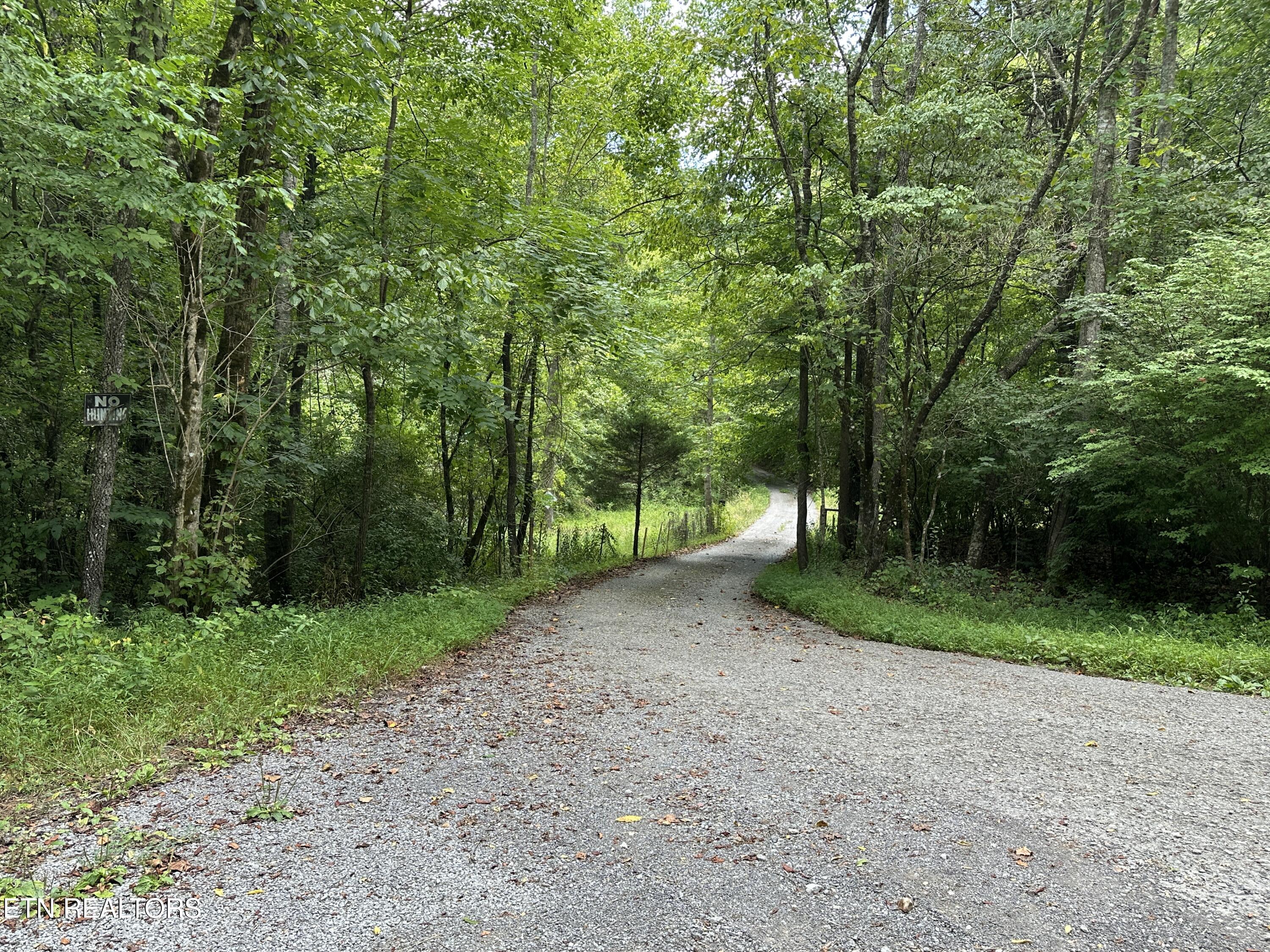 328 N Dark Hollow Road Andersonville TN 37705