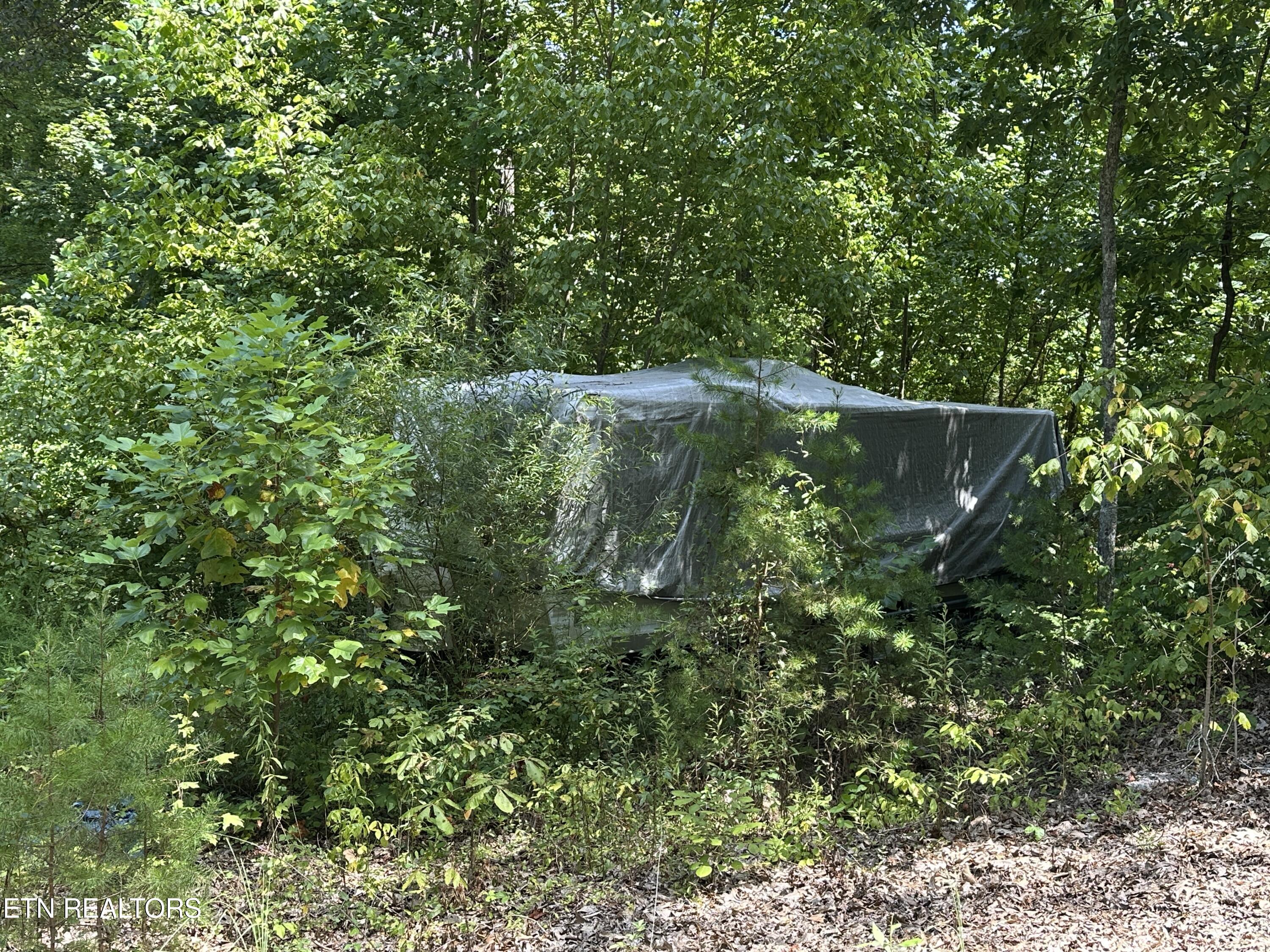 328 N Dark Hollow Road Andersonville TN 37705