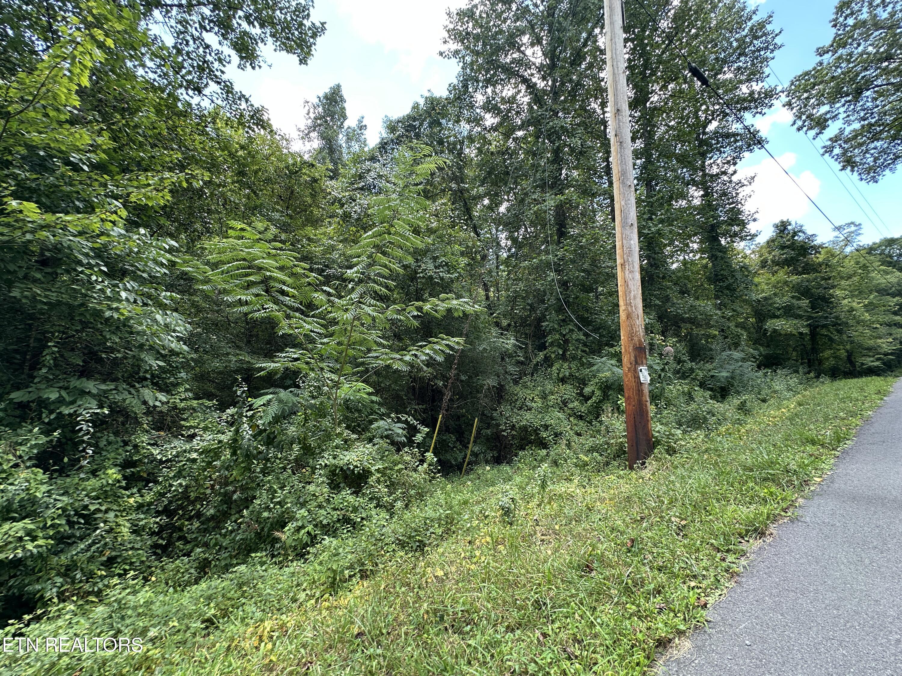 328 N Dark Hollow Road Andersonville TN 37705