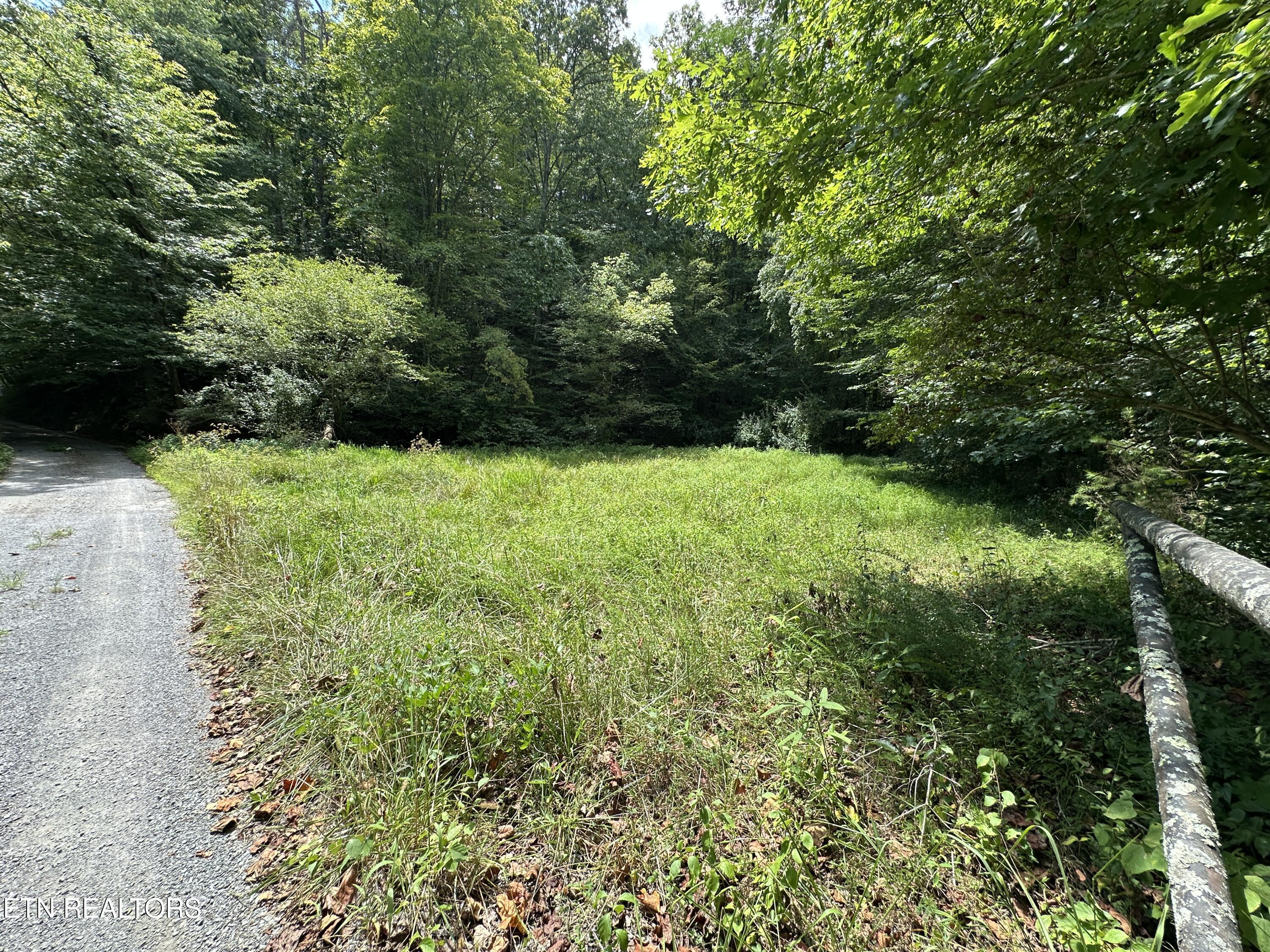 328 N Dark Hollow Road Andersonville TN 37705