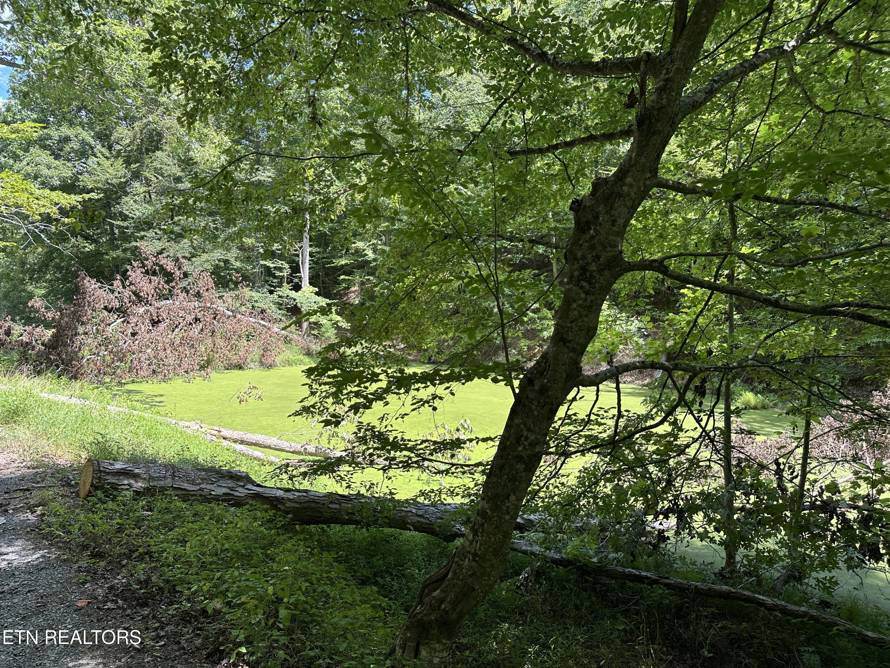 328 N Dark Hollow Road Andersonville TN 37705