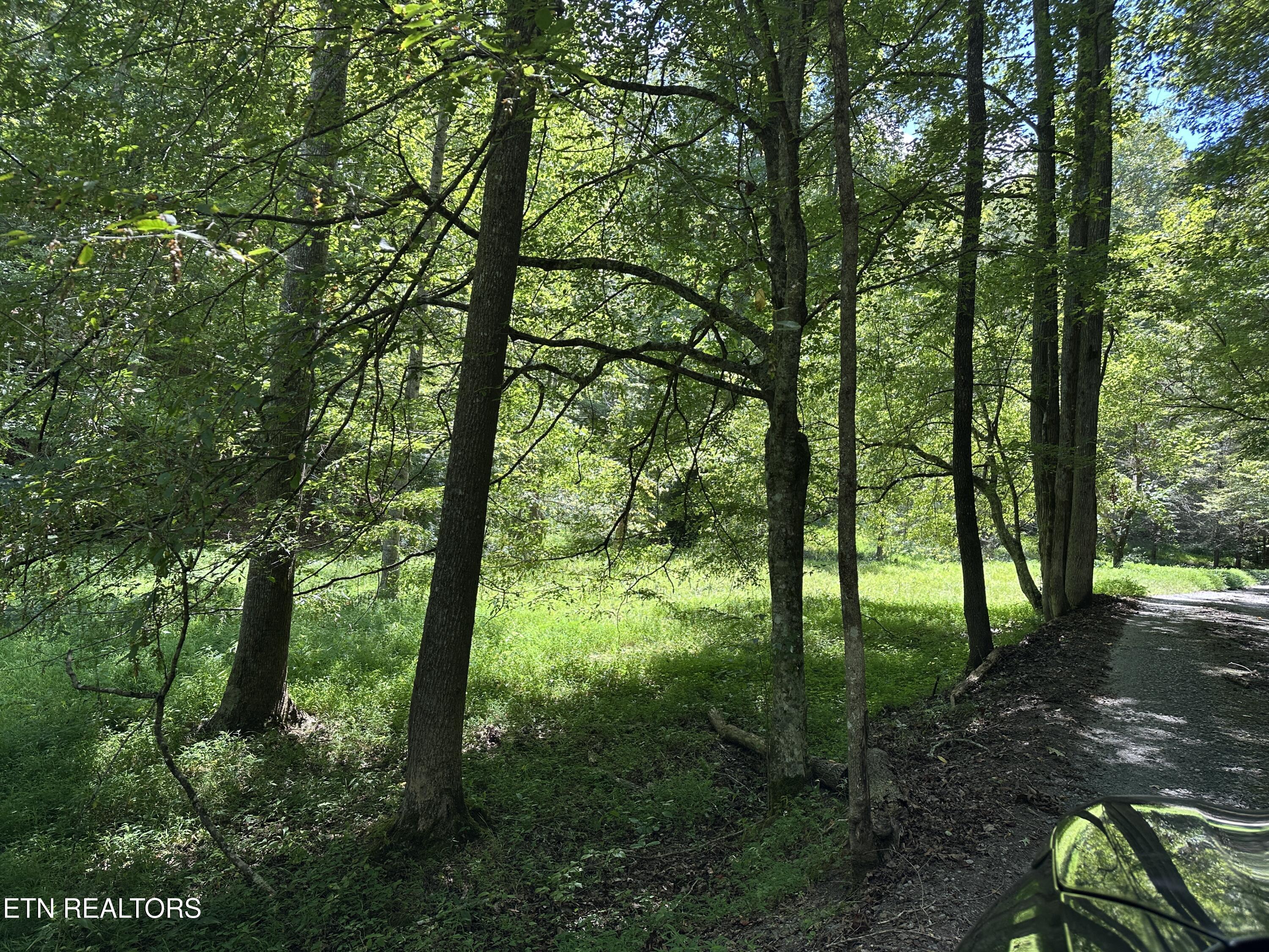 328 N Dark Hollow Road Andersonville TN 37705