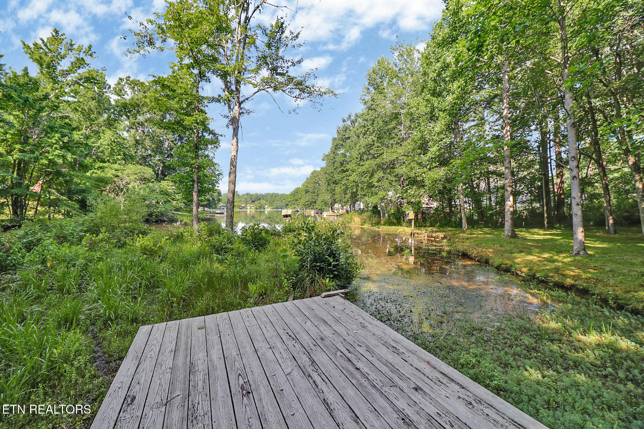 227 Avondale Lane Sparta TN 38583