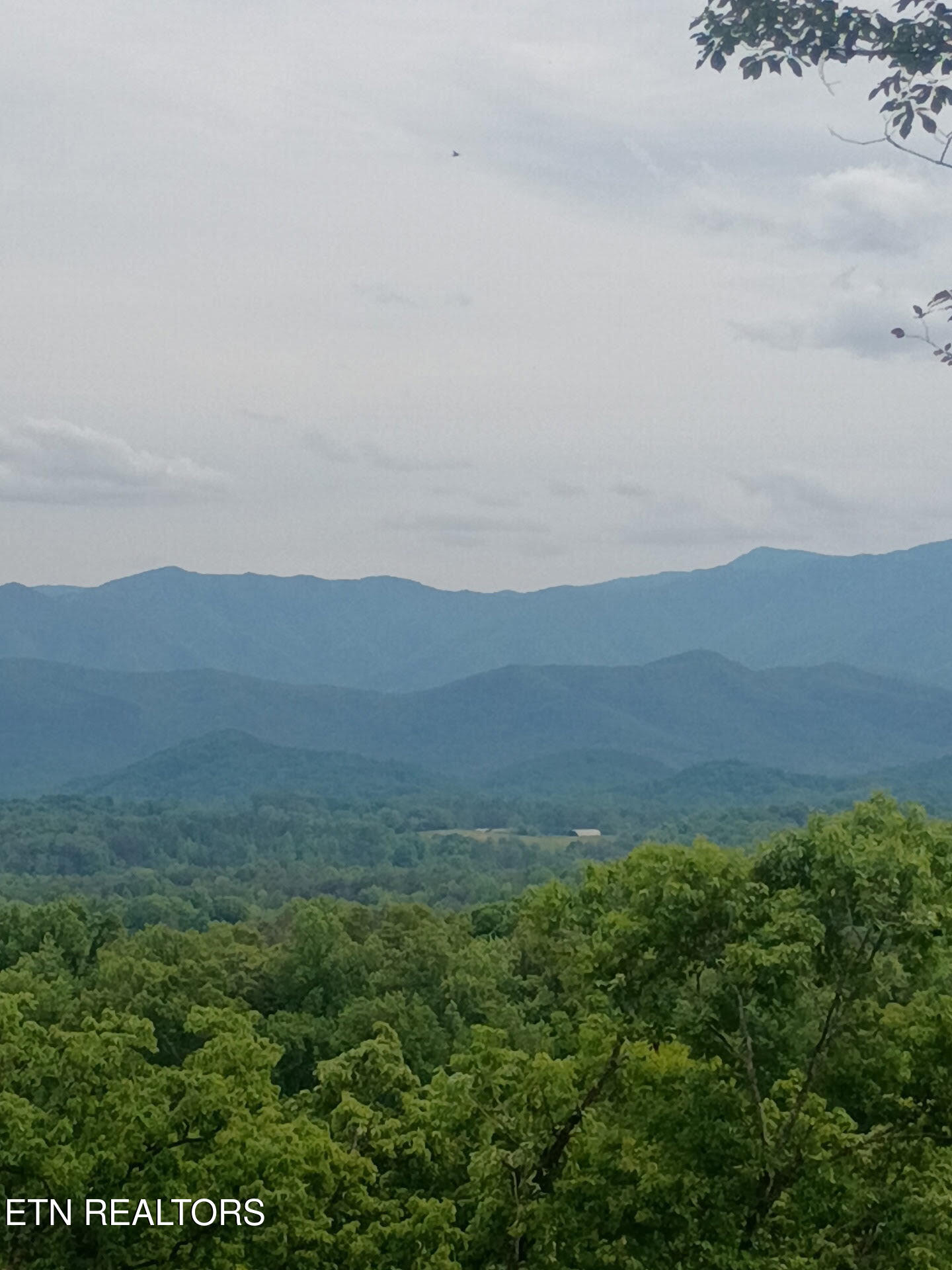 Lot 16 Moody Moon Ridge Way Newport TN 37821