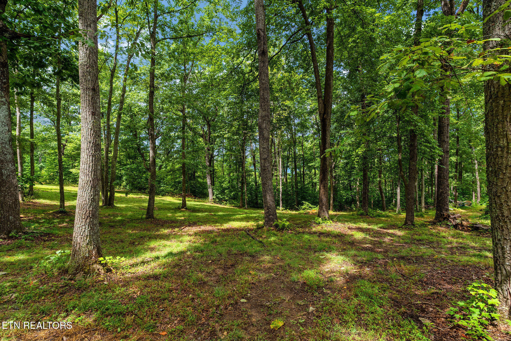 148 Chimney Rock Lane Lafollette TN 37729