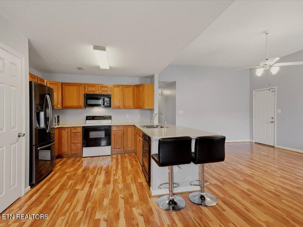 10026 Bellflower Way Knoxville TN 37932