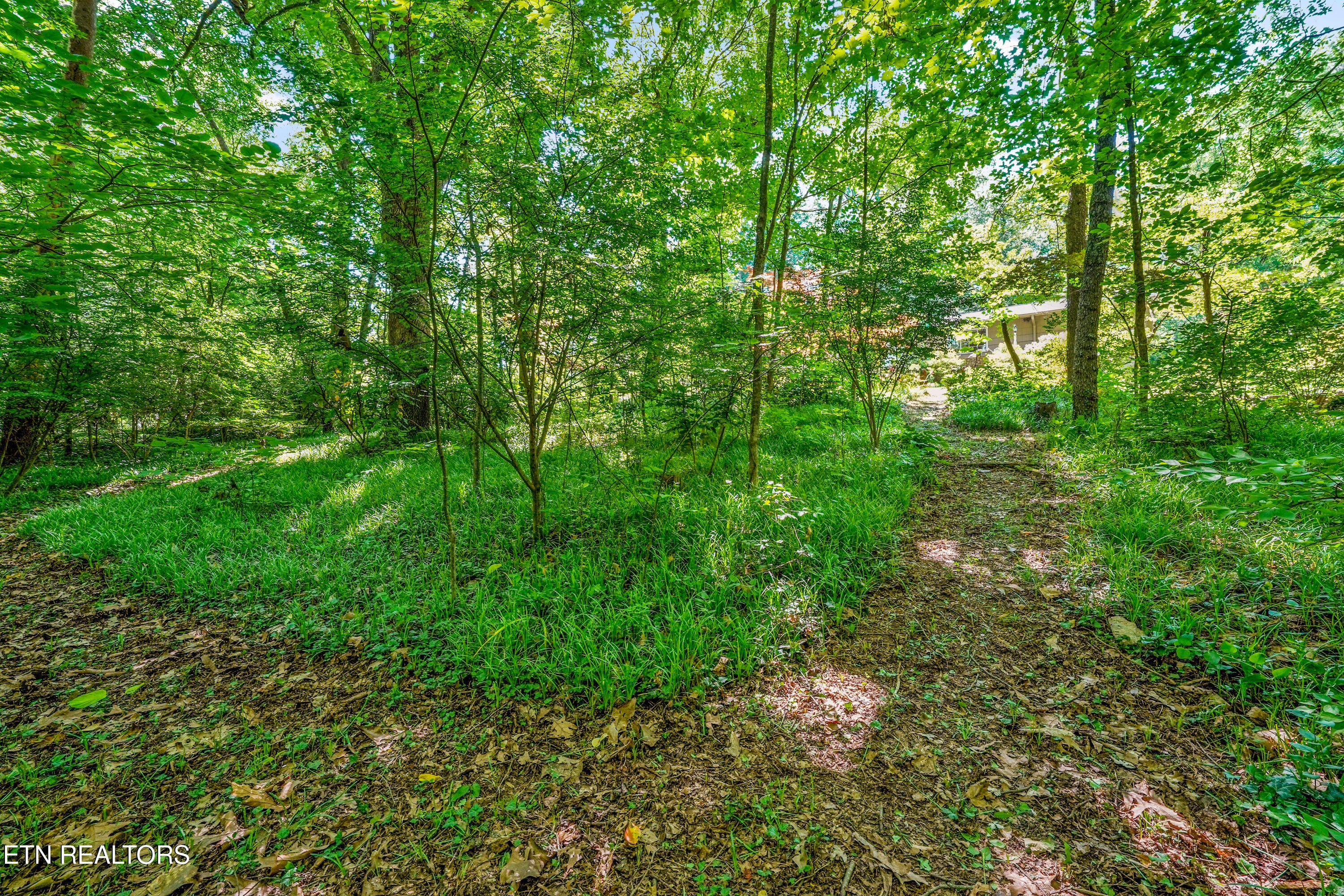 1121 Snowdon Drive Knoxville TN 37912
