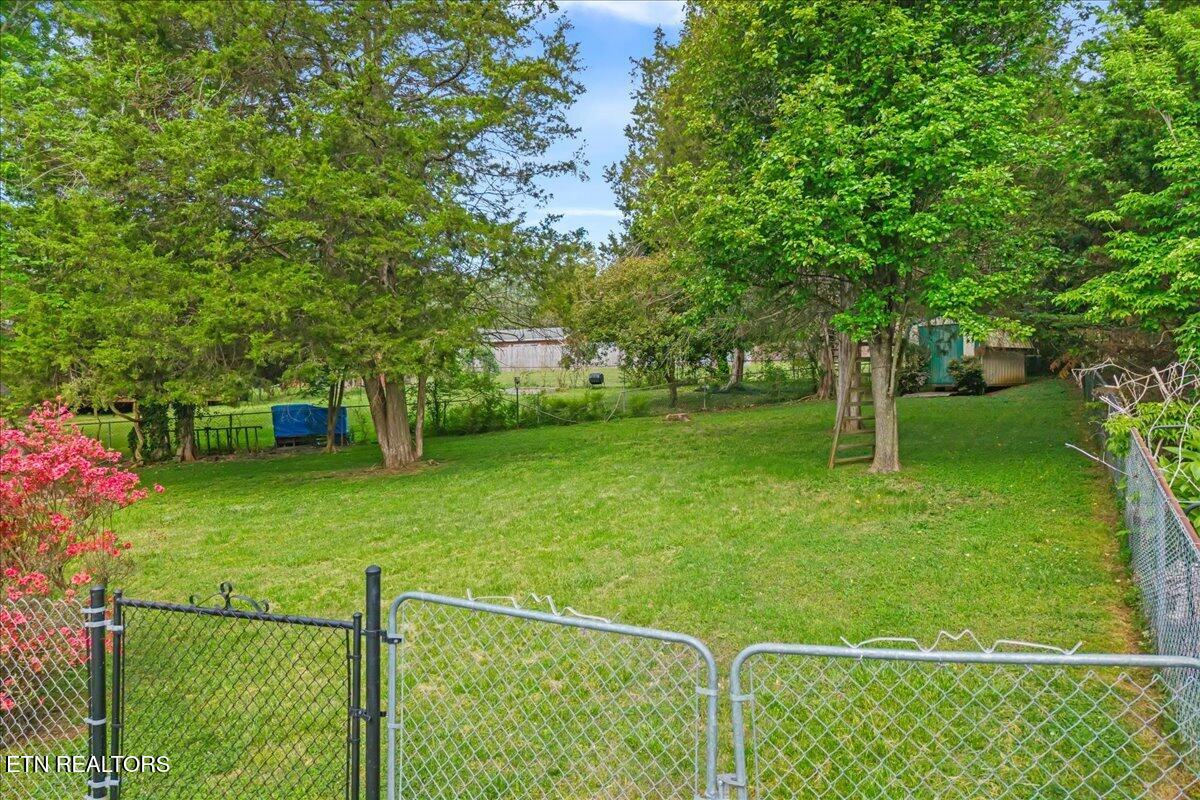 1305 Ridgeway Circle Athens TN 37303