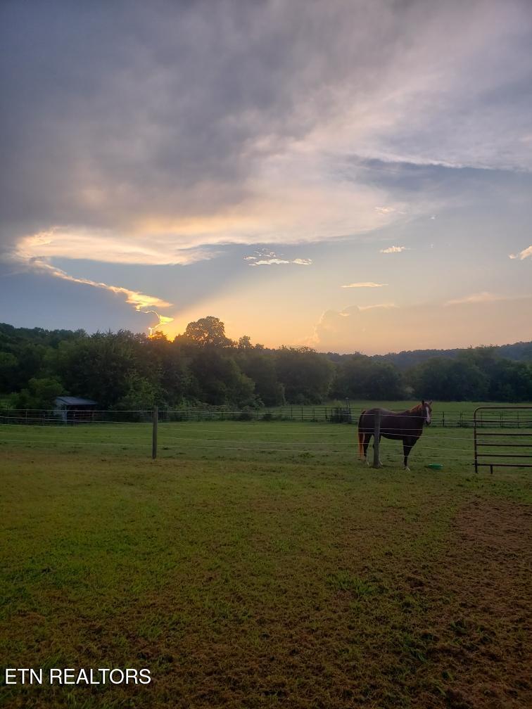 7624 Rustic Lane Knoxville TN 37938