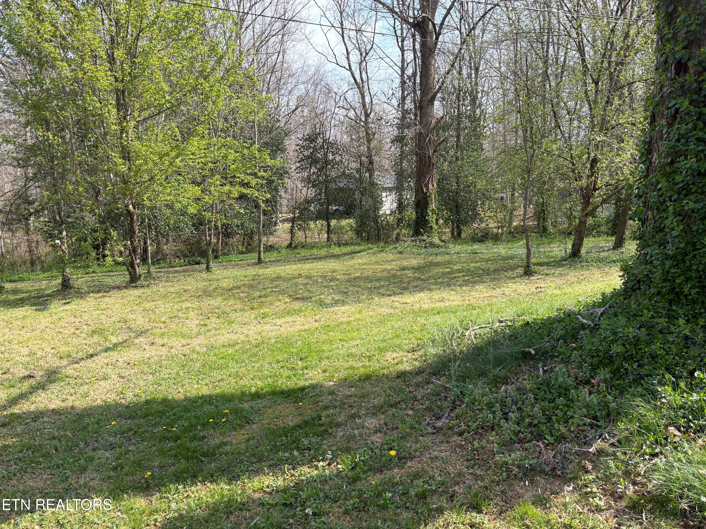 350 Colditz Road Jamestown TN 38556