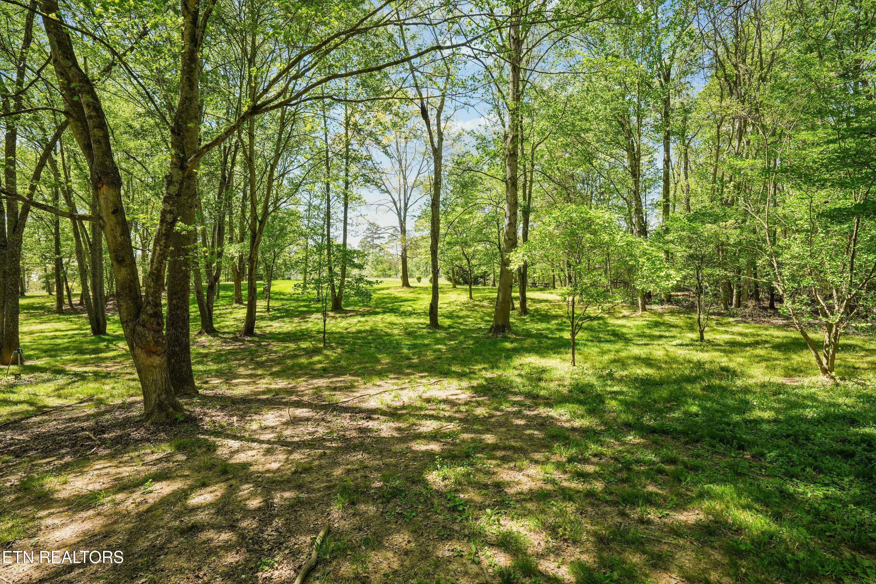 1835 Paul Drive Jefferson City TN 37760