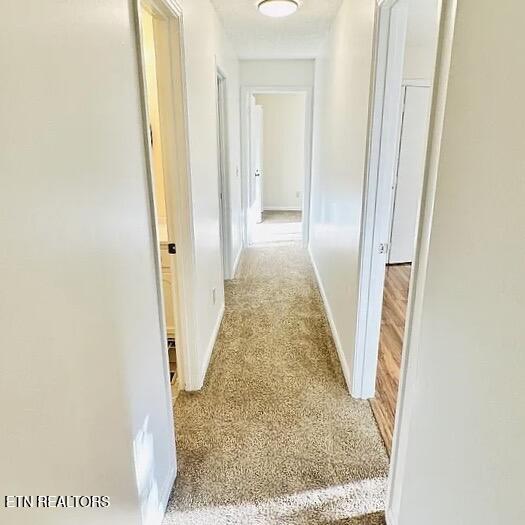 2158 Williamsburg Circle Cookeville TN 38506