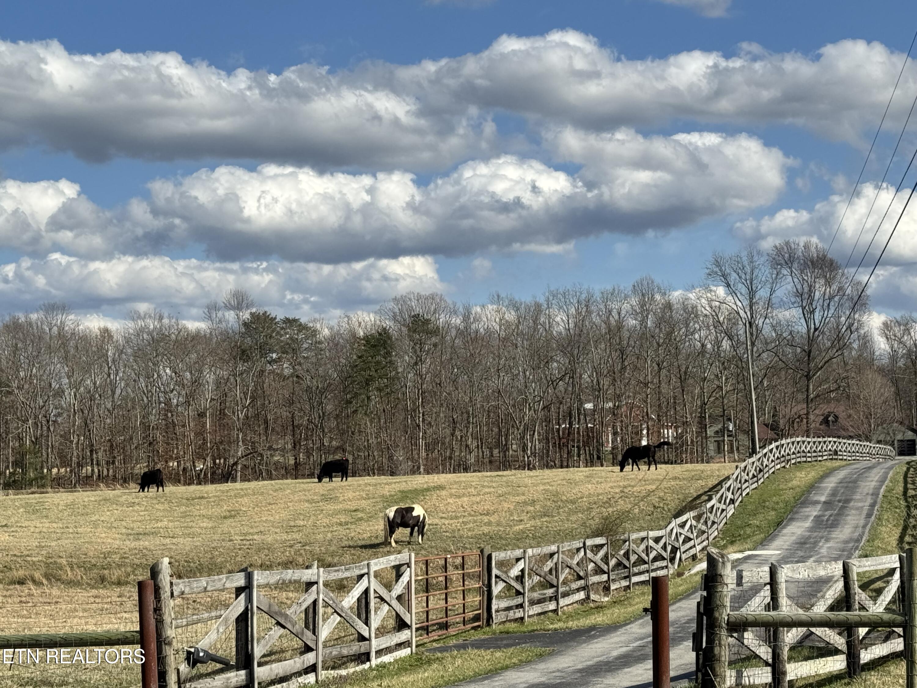 5519 S York Highway Grimsley TN 38565