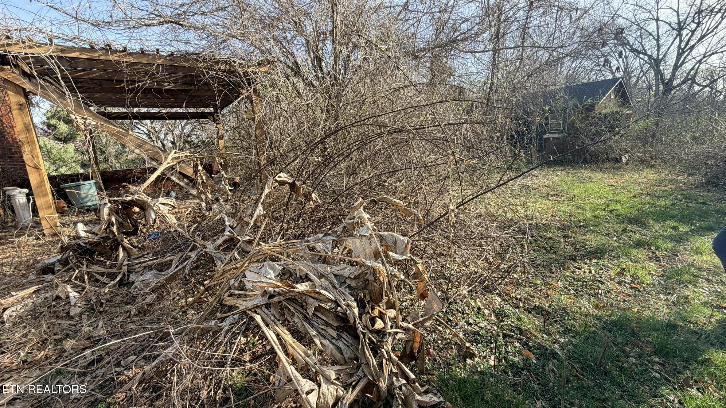 577 Blizzard Mines Road Harriman TN 37748