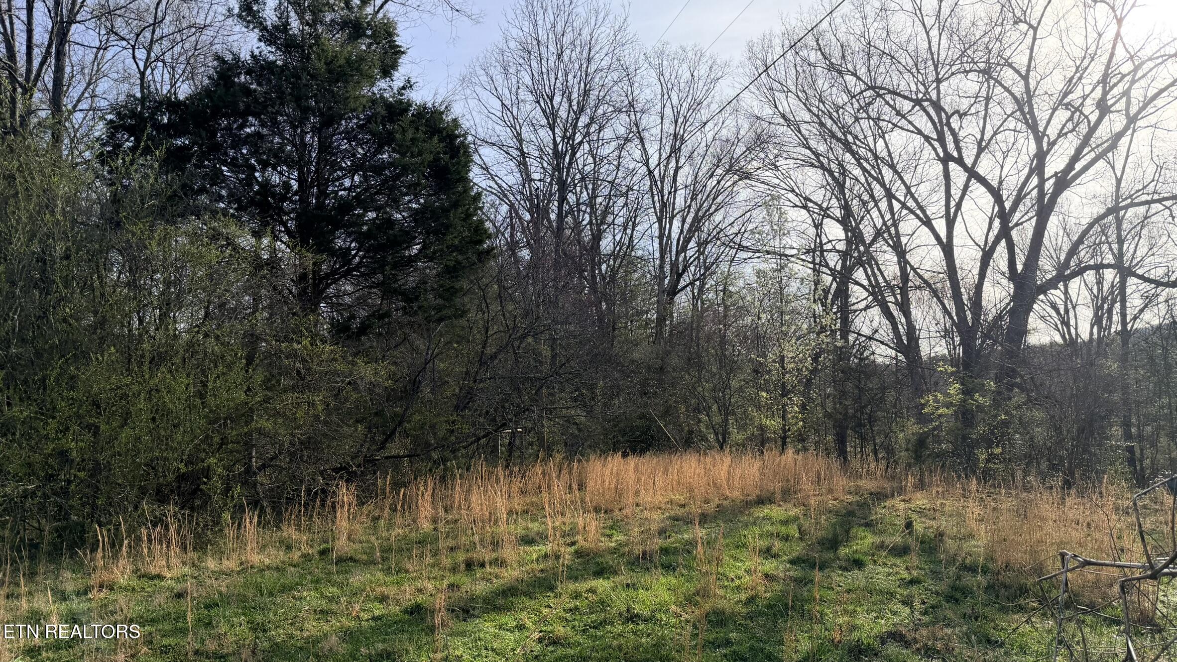 577 Blizzard Mines Road Harriman TN 37748