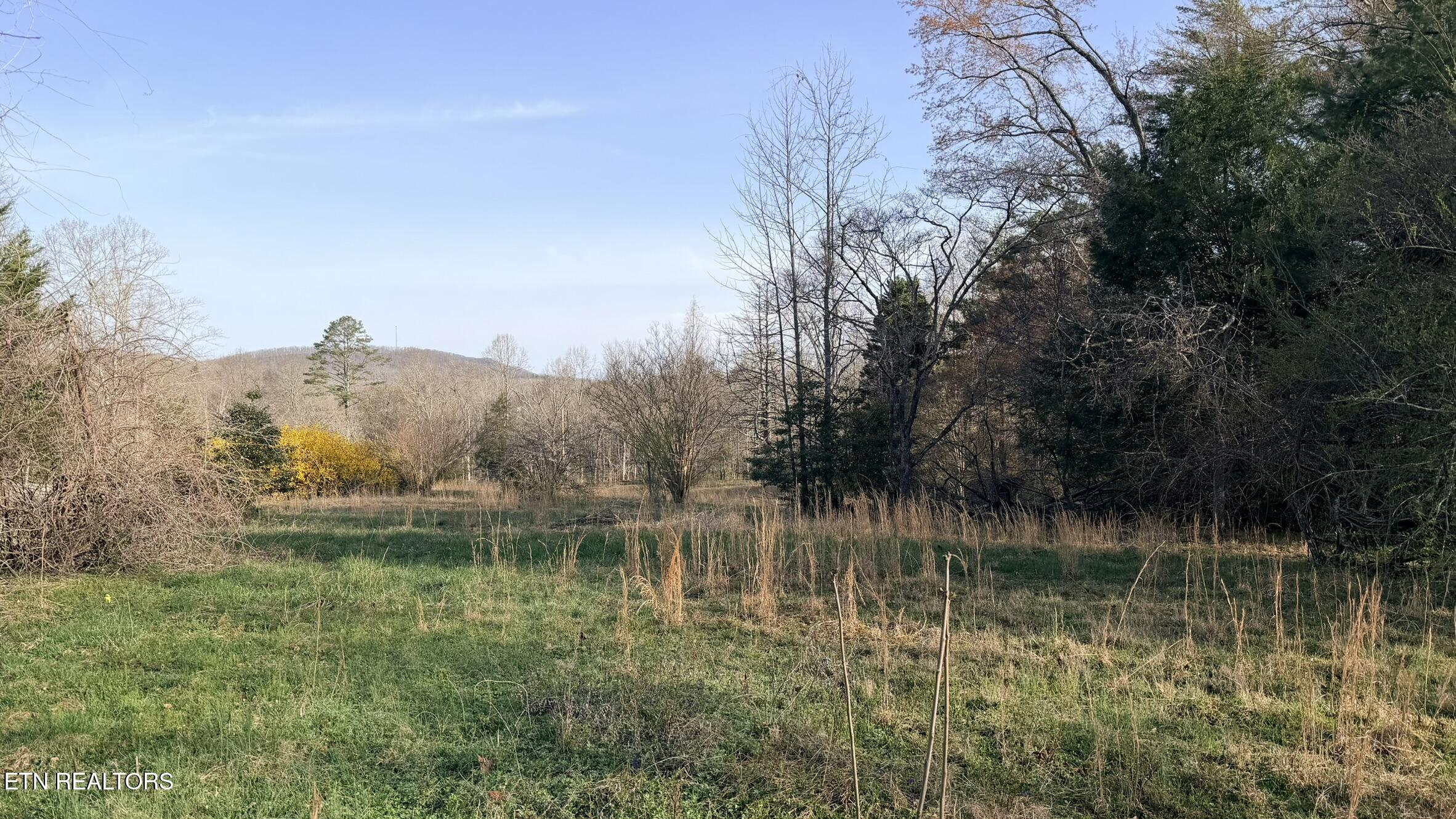 577 Blizzard Mines Road Harriman TN 37748
