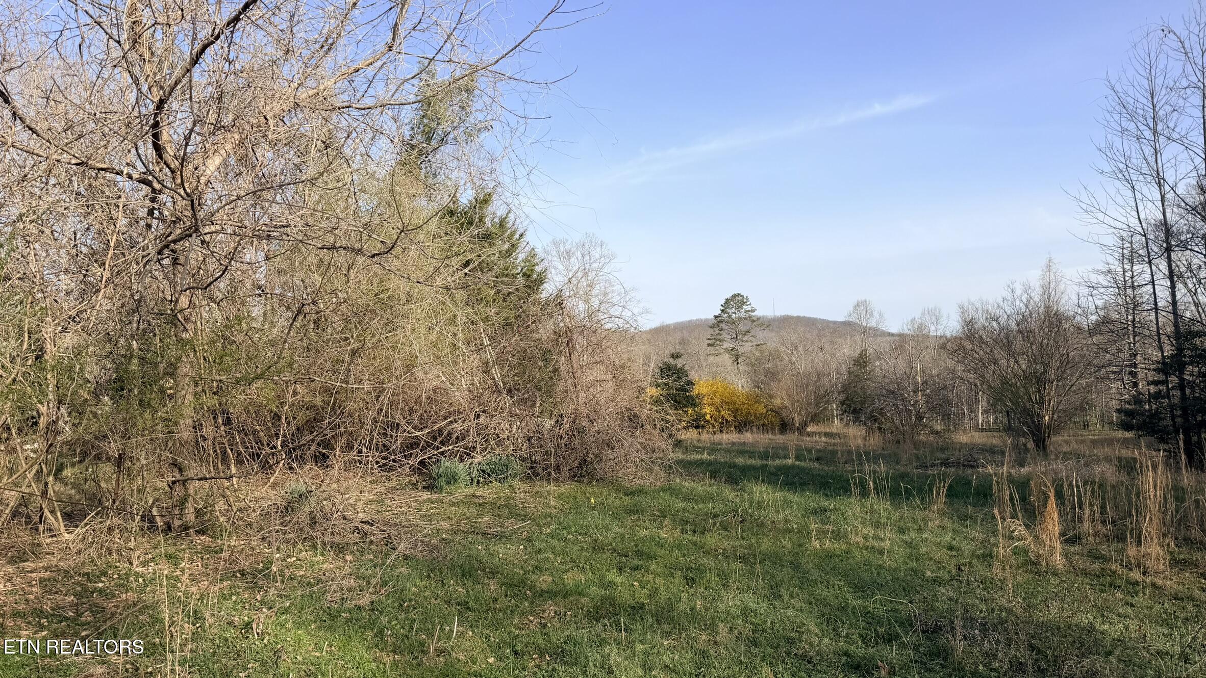 577 Blizzard Mines Road Harriman TN 37748