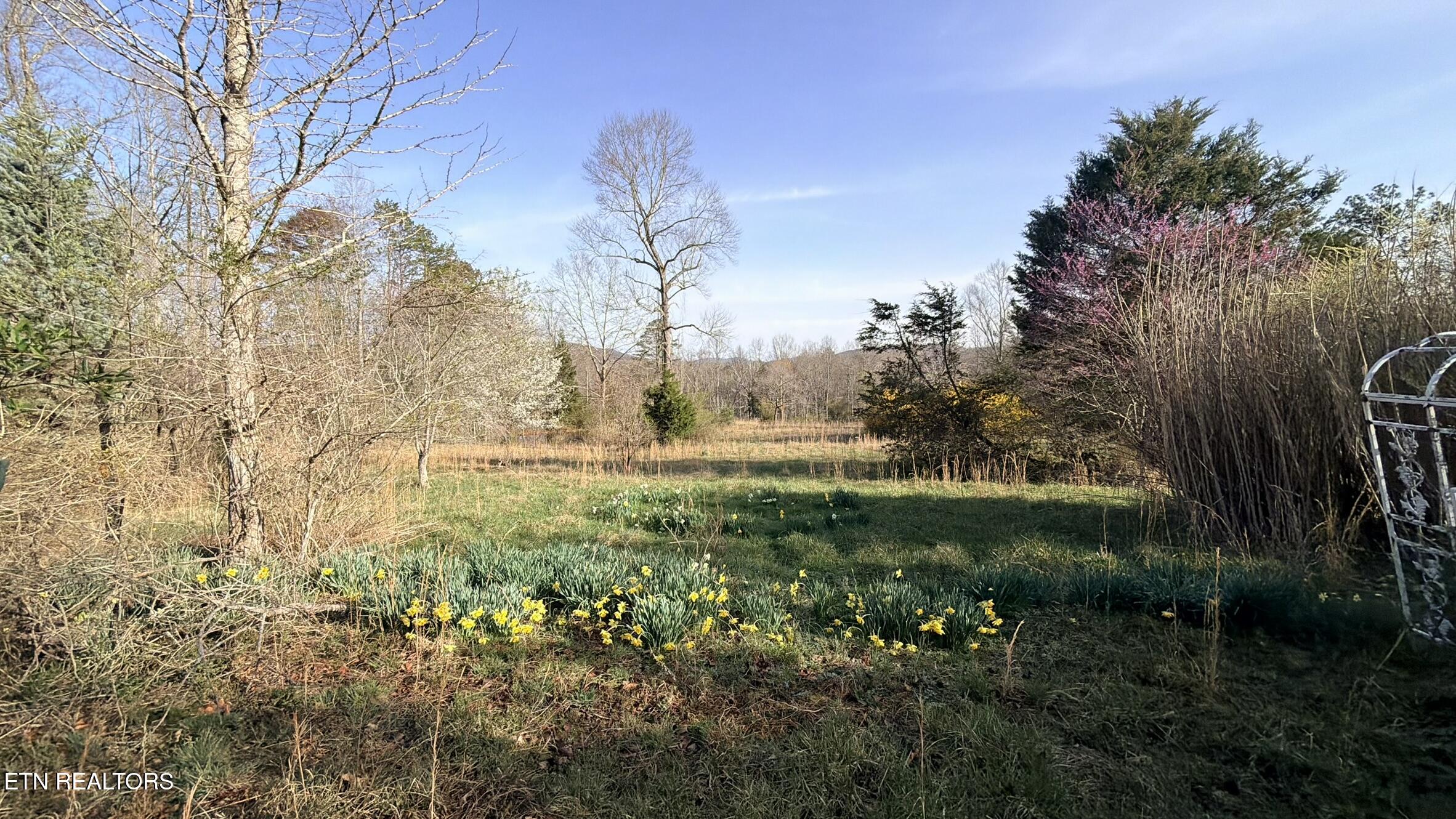 577 Blizzard Mines Road Harriman TN 37748