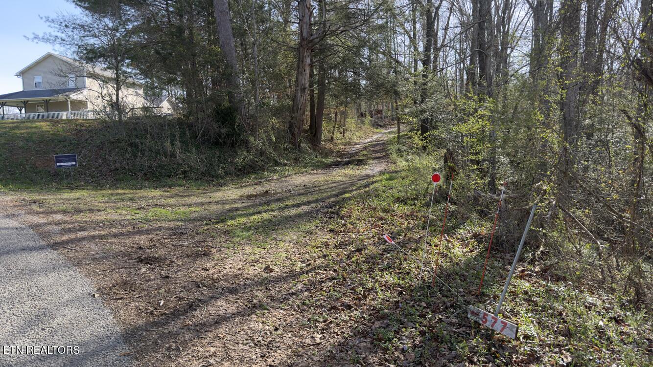 577 Blizzard Mines Road Harriman TN 37748