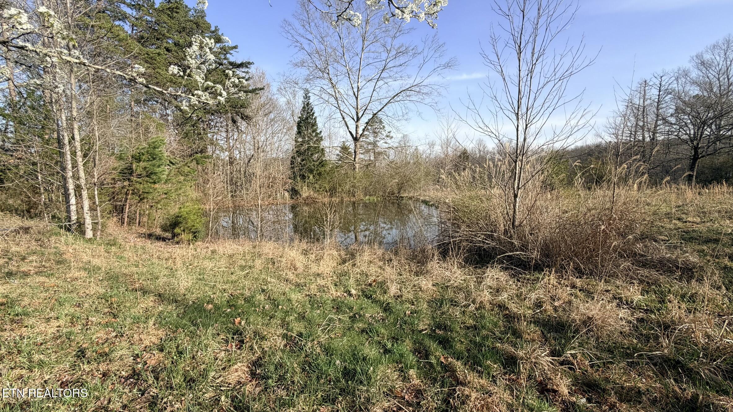 577 Blizzard Mines Road Harriman TN 37748
