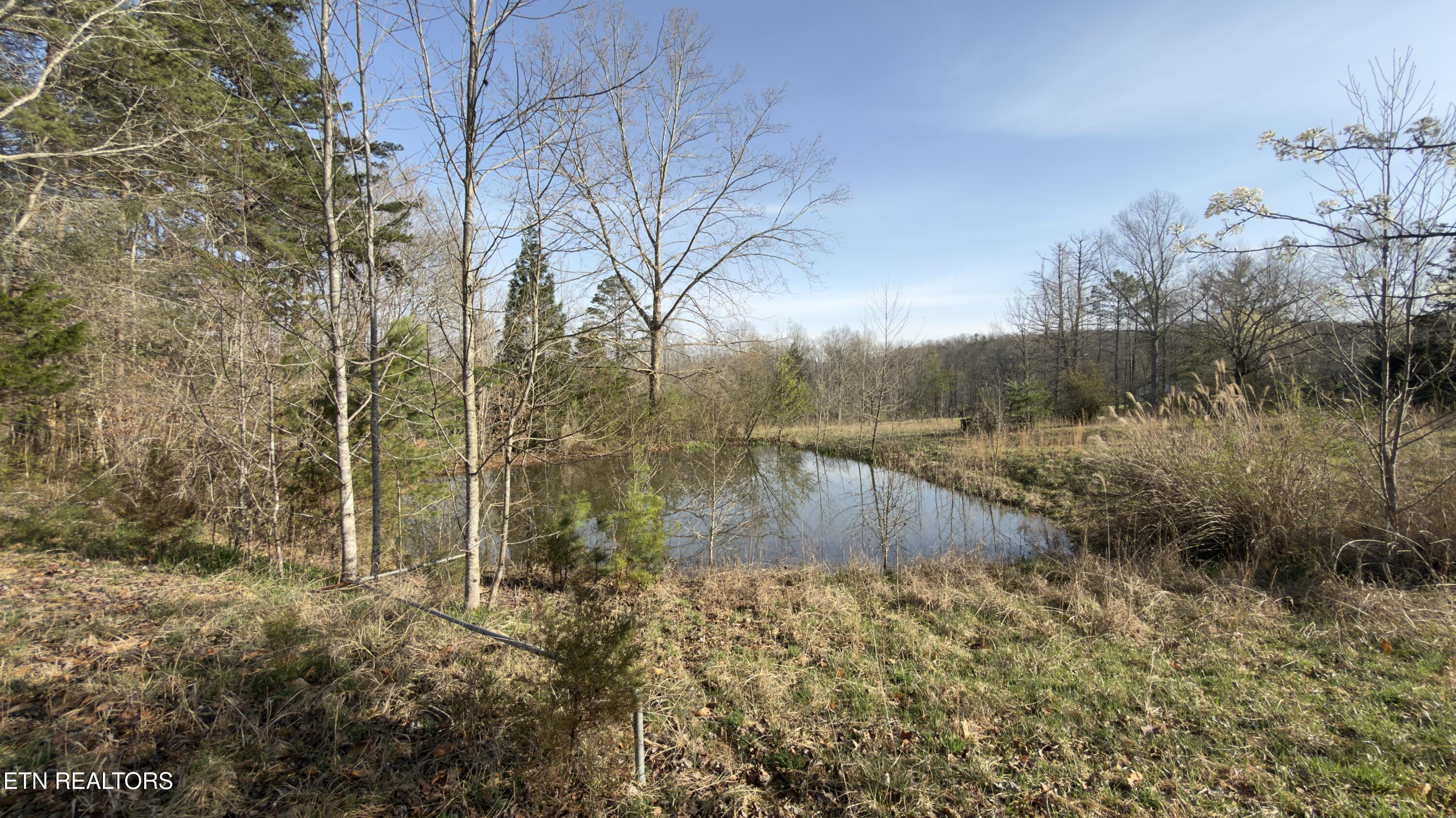 577 Blizzard Mines Road Harriman TN 37748
