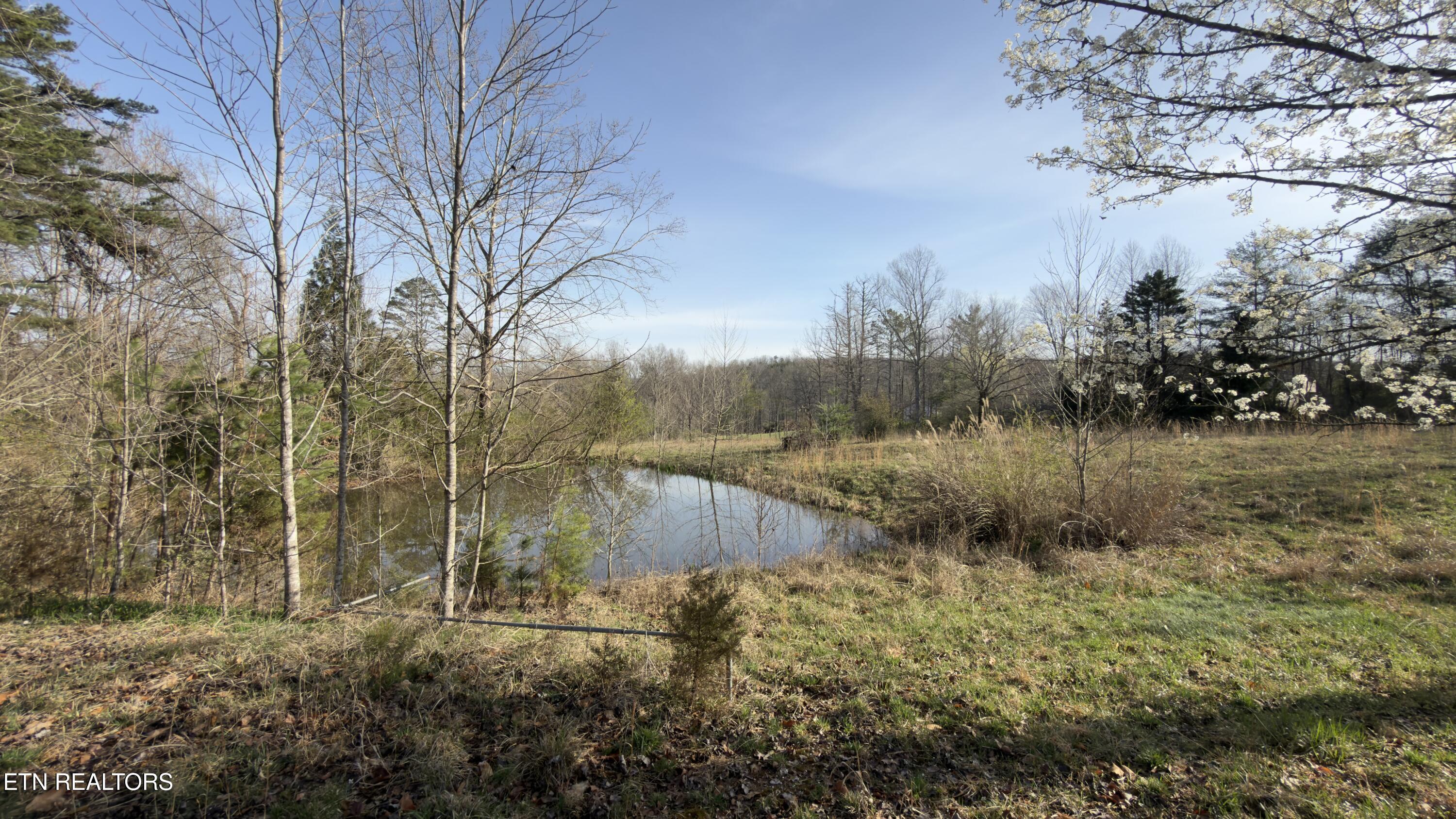 577 Blizzard Mines Road Harriman TN 37748